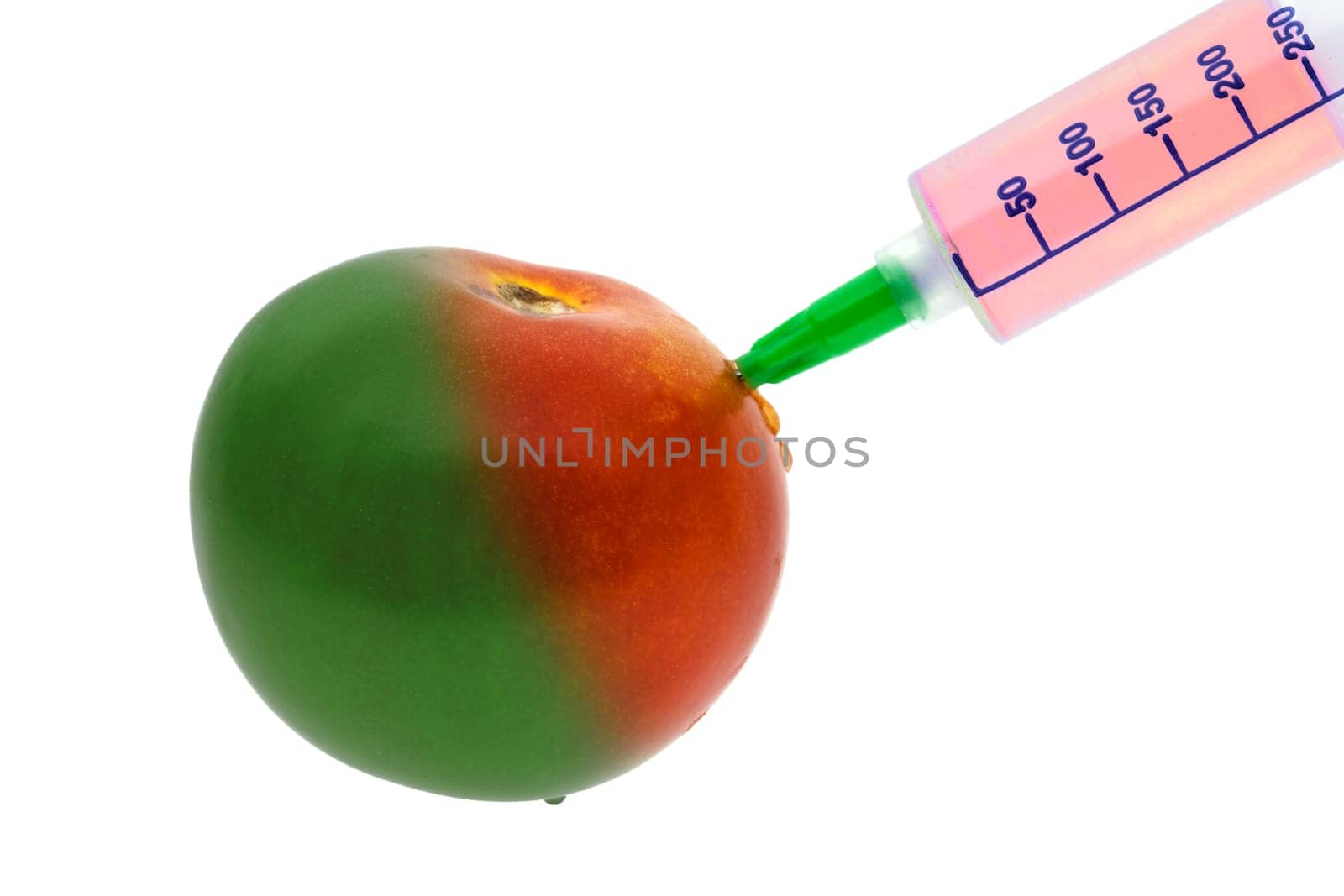 Genetically Modified Tomato