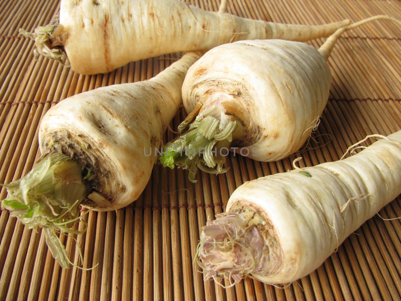 Parsley root