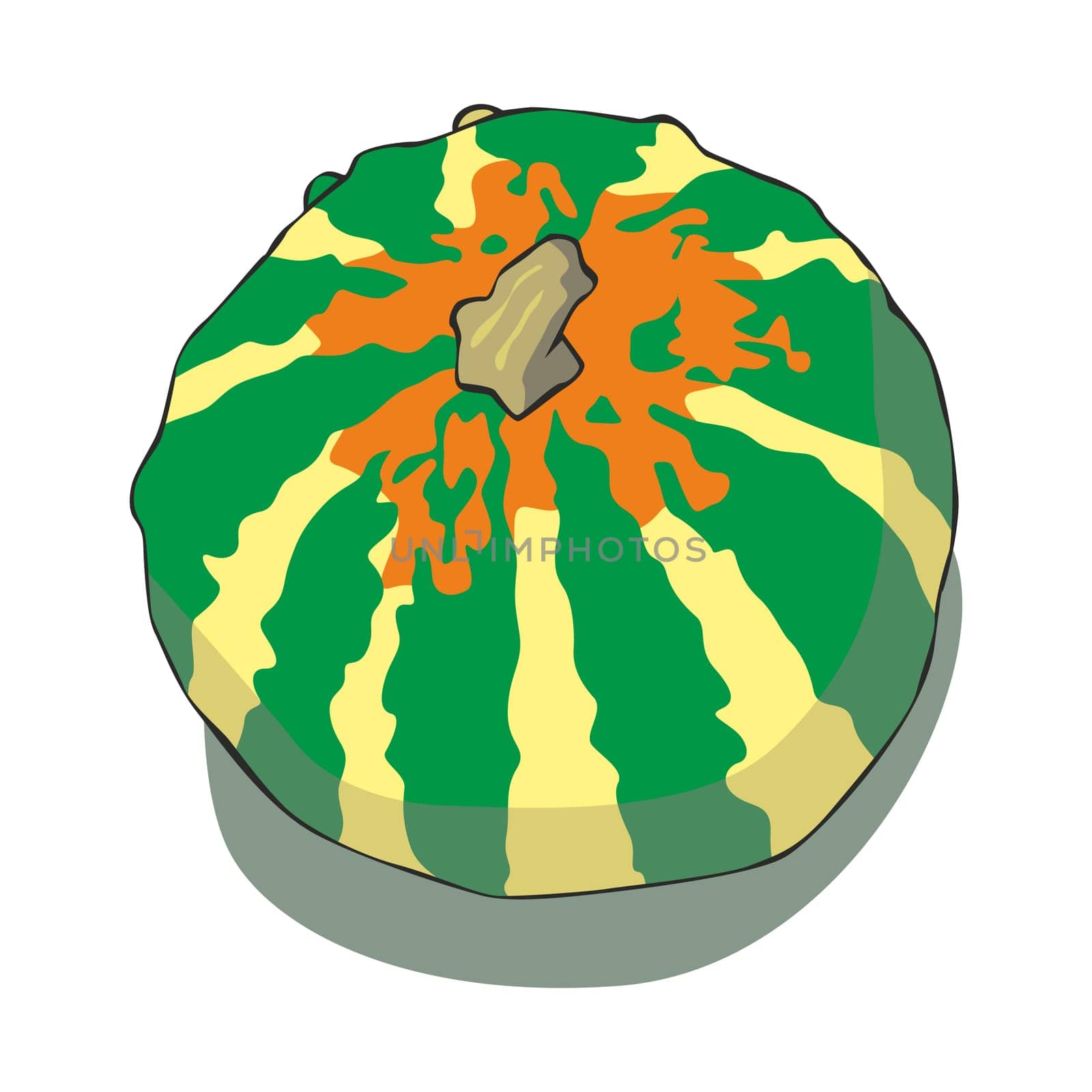 illustration of pumpkin