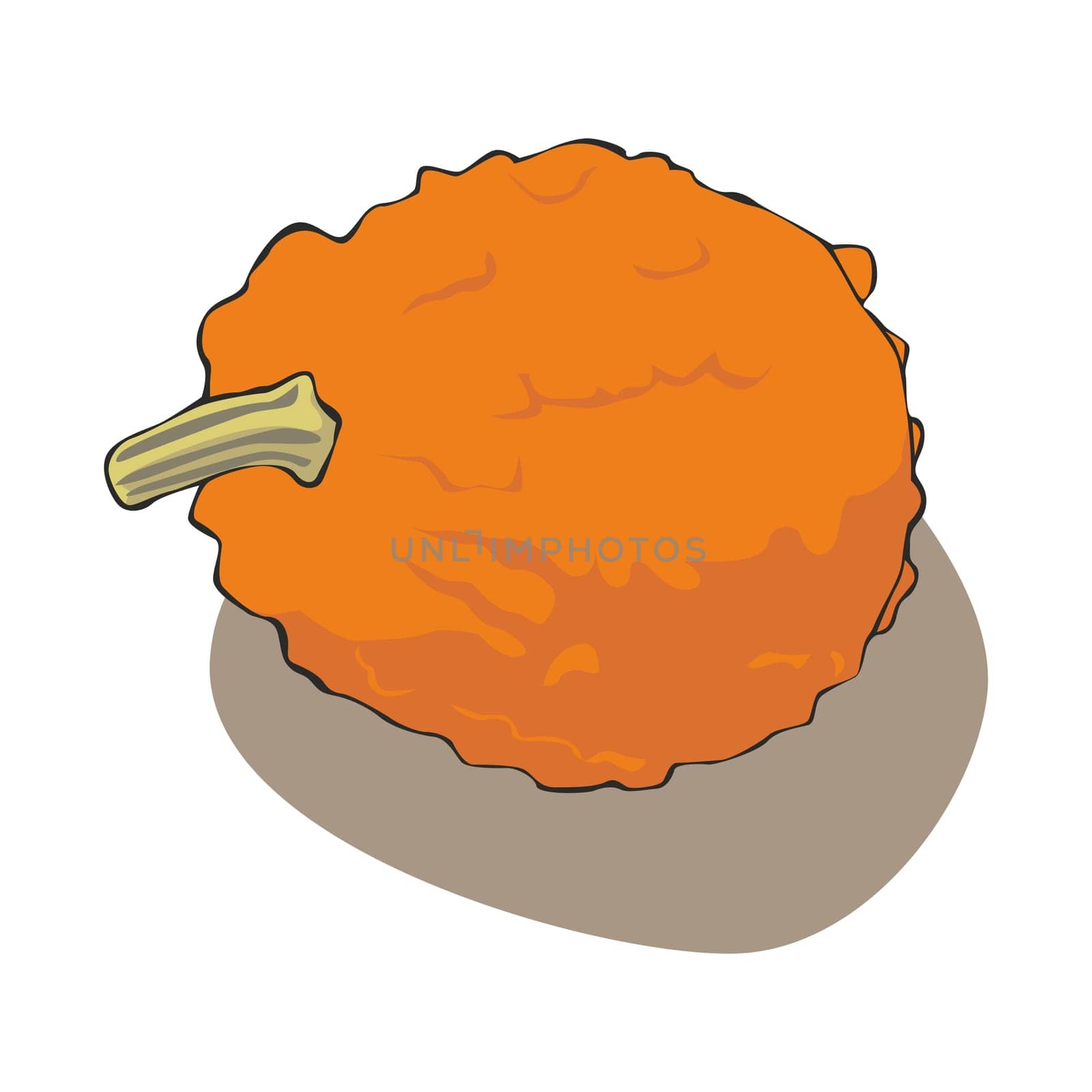 illustration of pumpkin