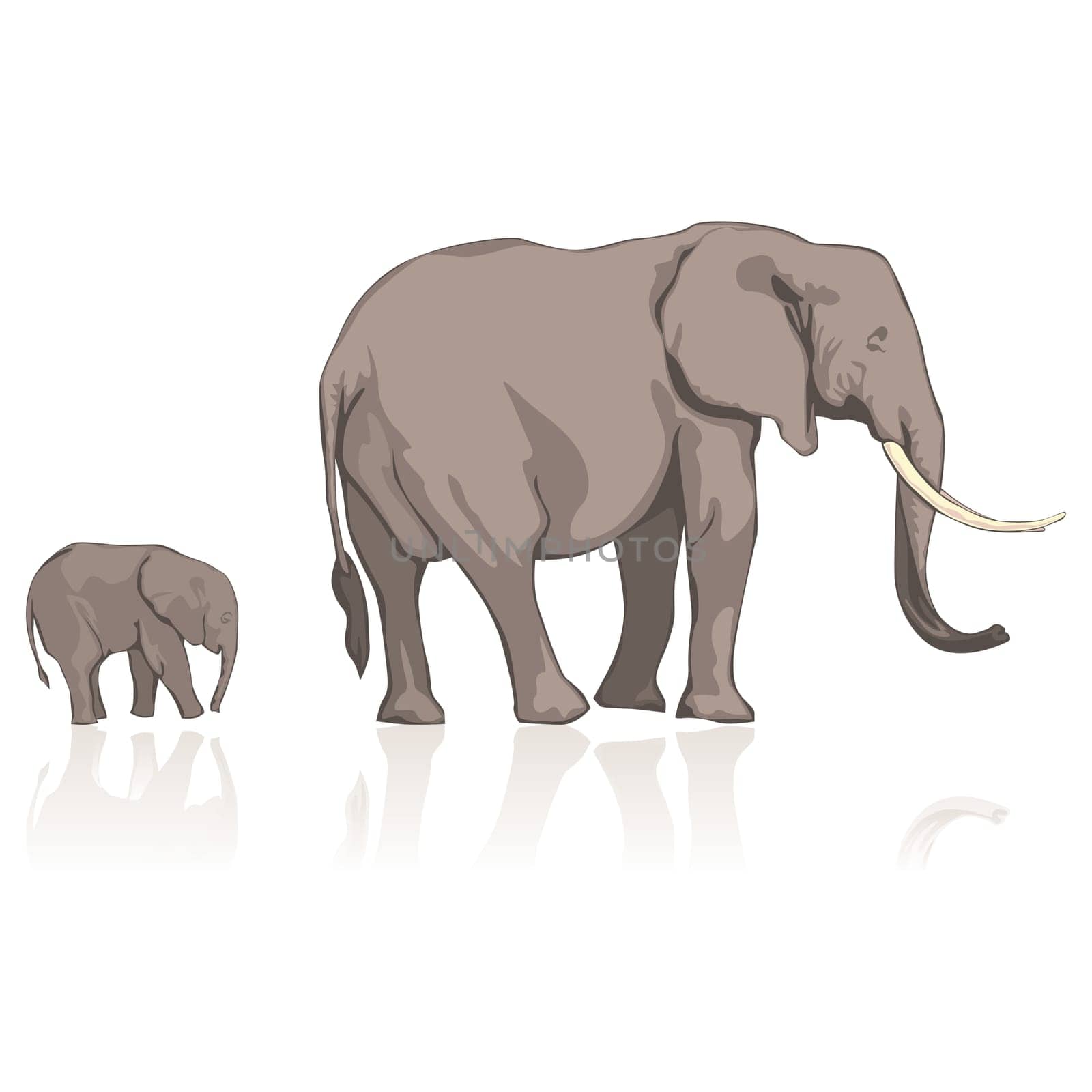 illustration of wild elephants