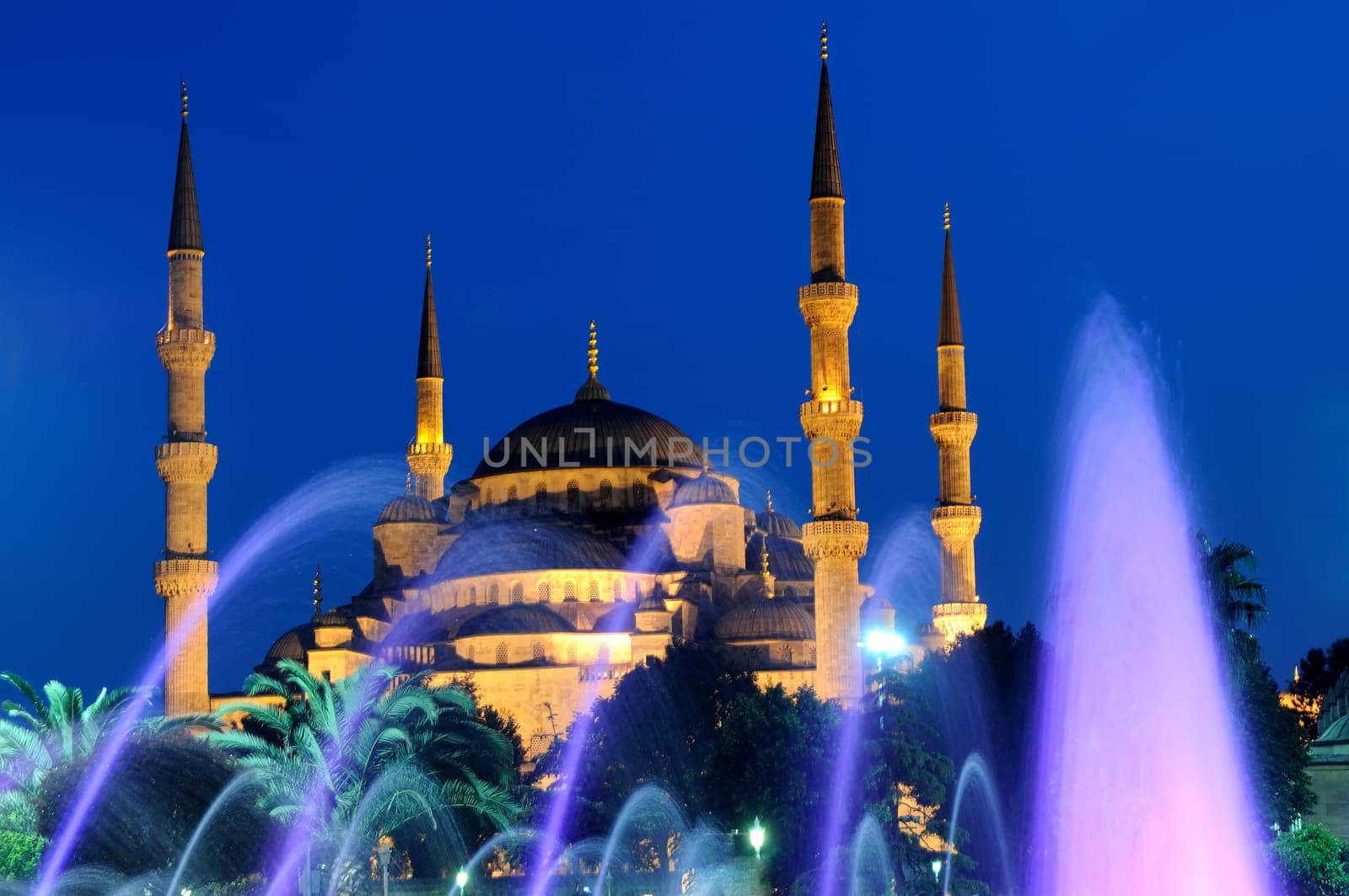Blue mosque and fountain