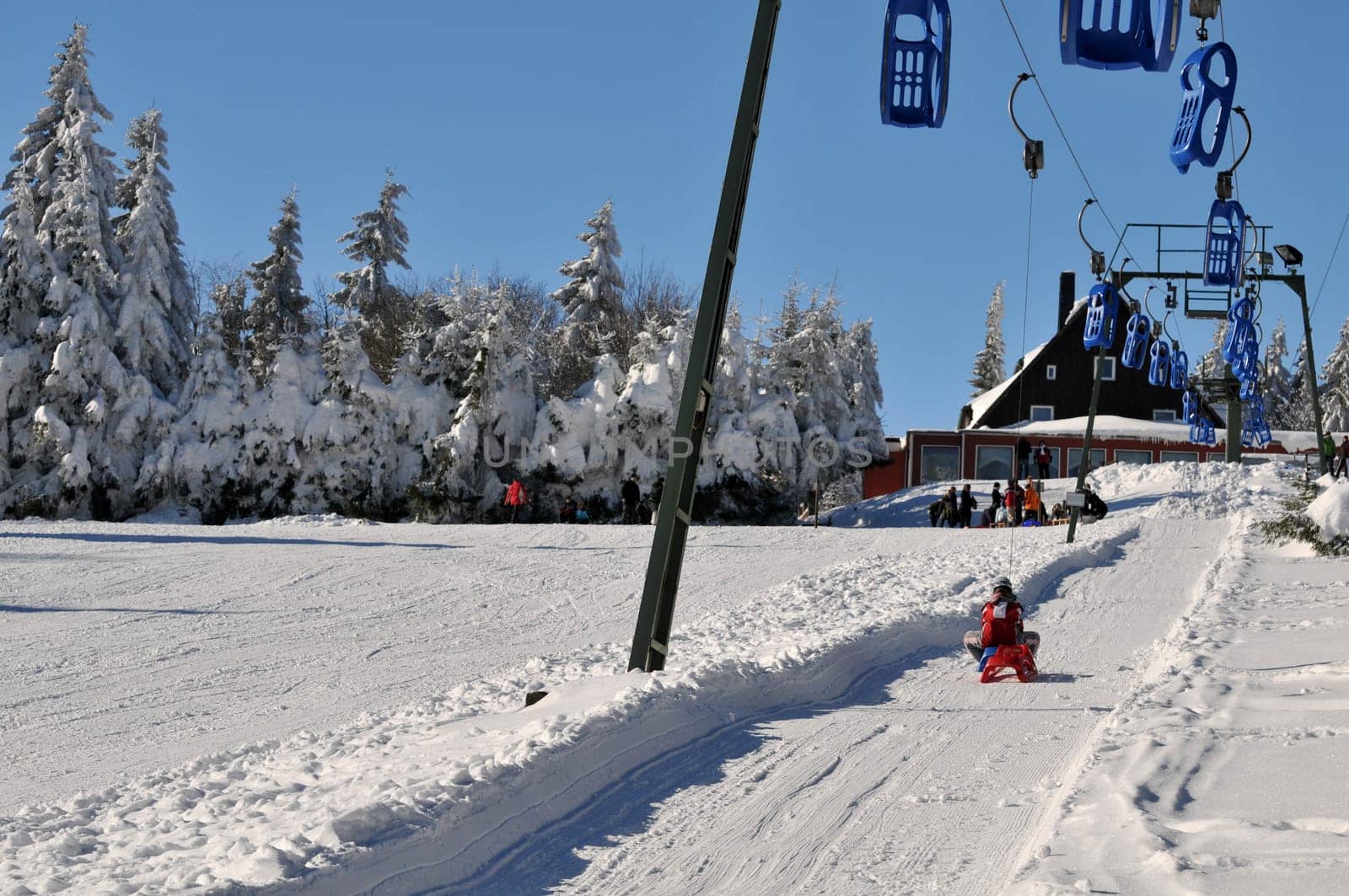 toboggan