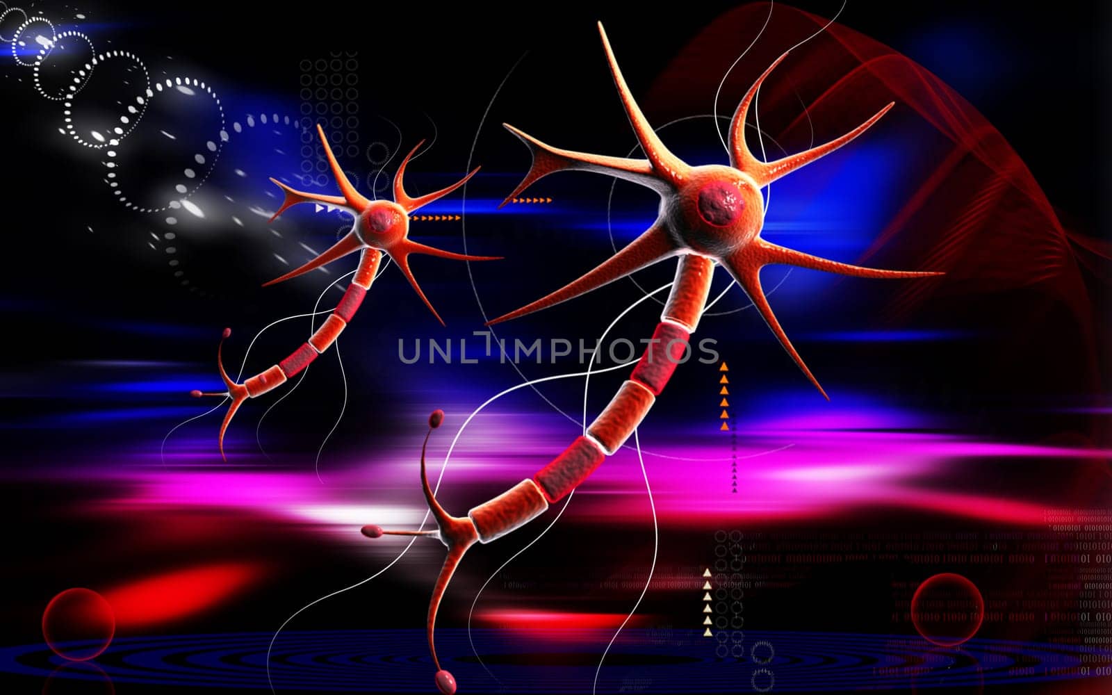 Neuron