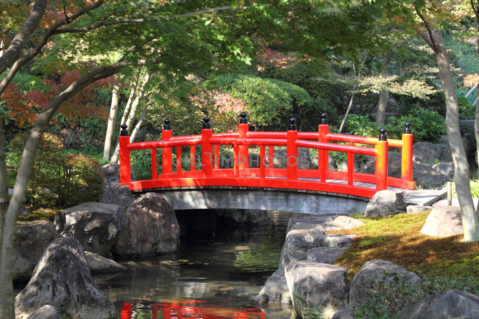 Japanese garden