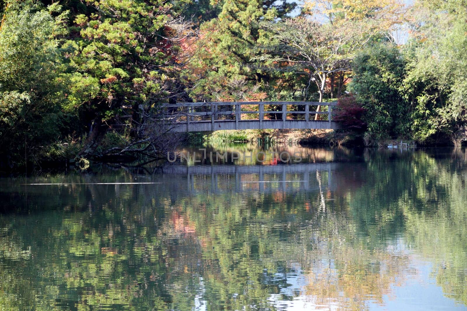 Lakeside bridge