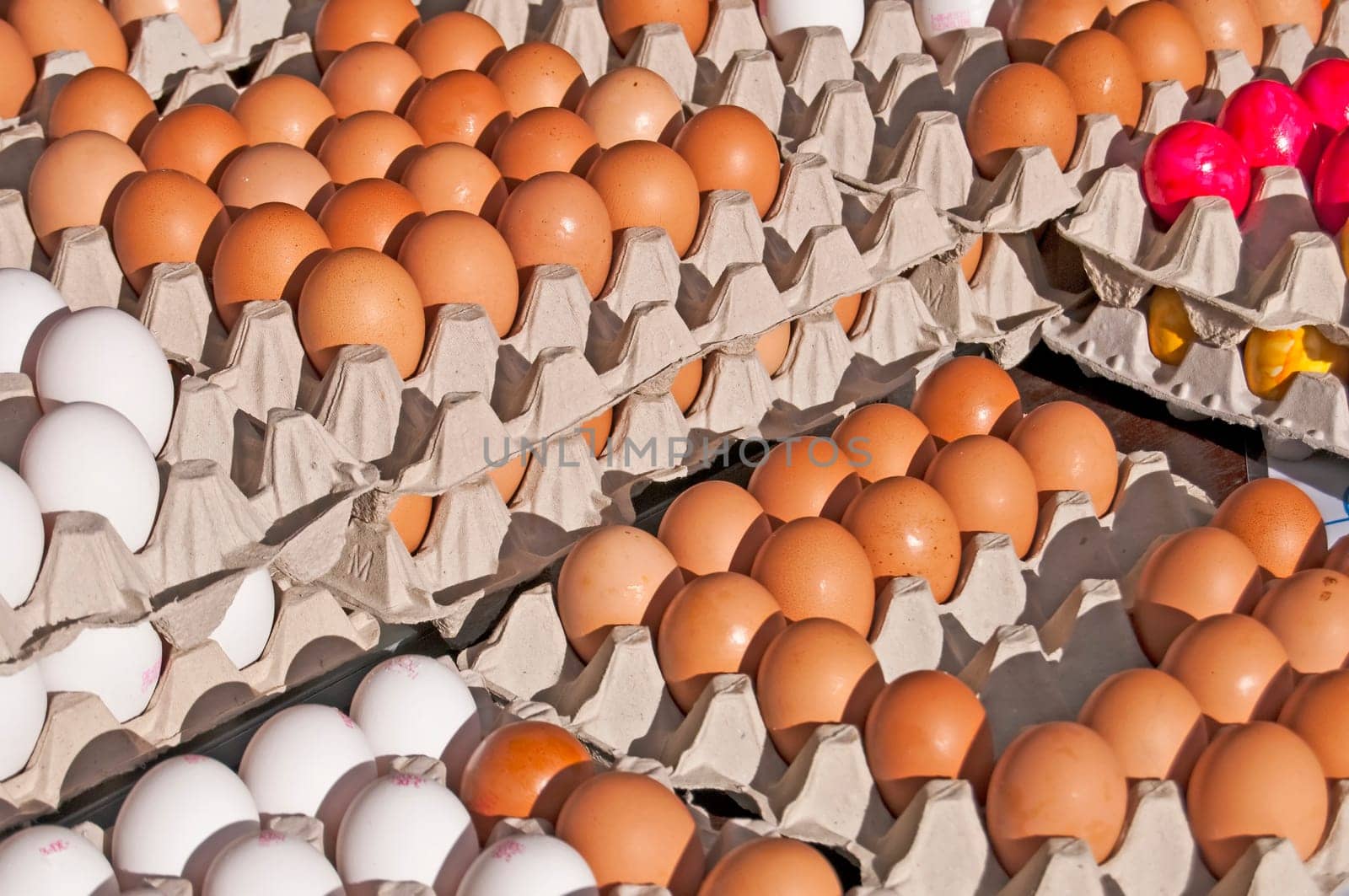Egg