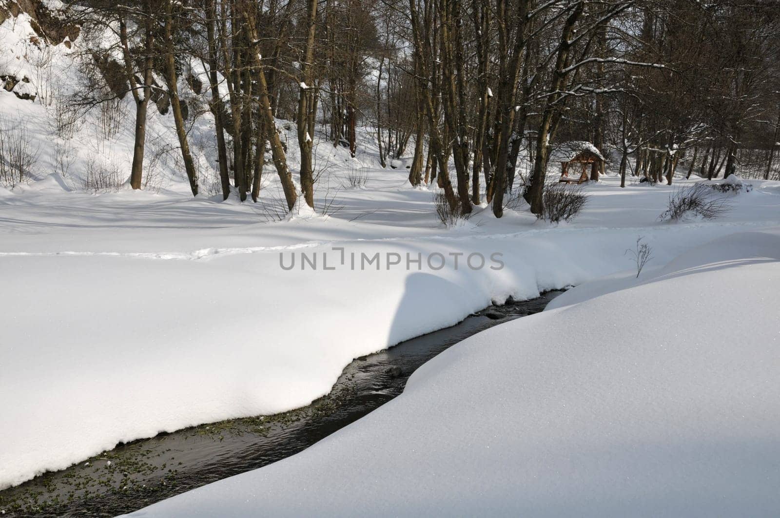 Stream in the Harz Mountains