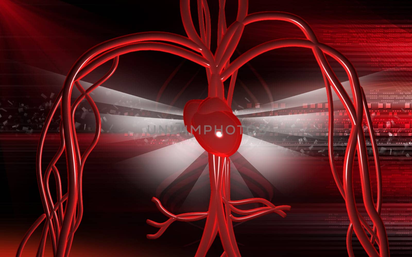 Vascular system