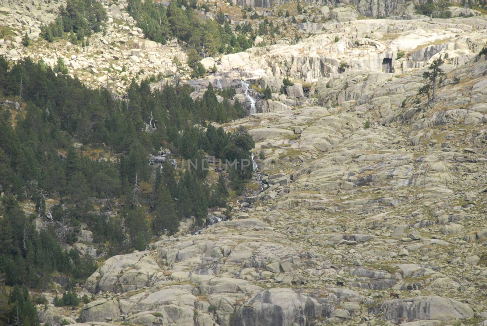Aigüestortes - Rocky Landscape -