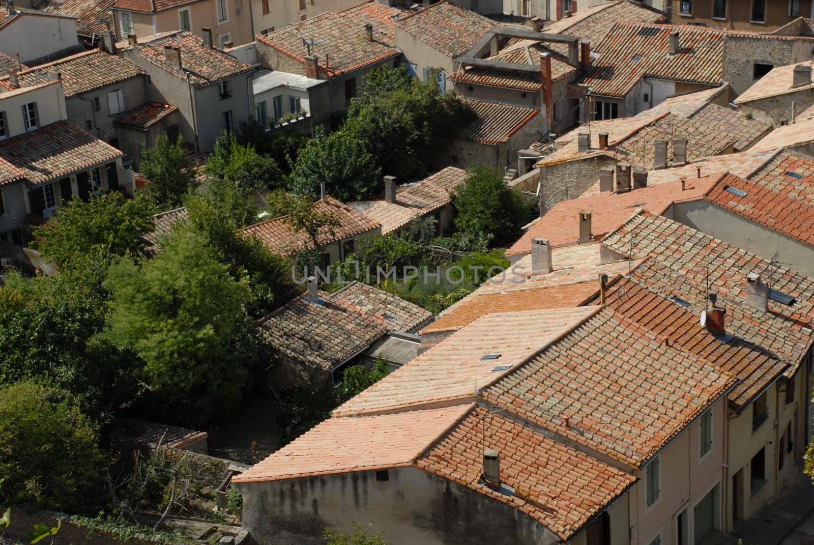 Rooftops of Carcassonne