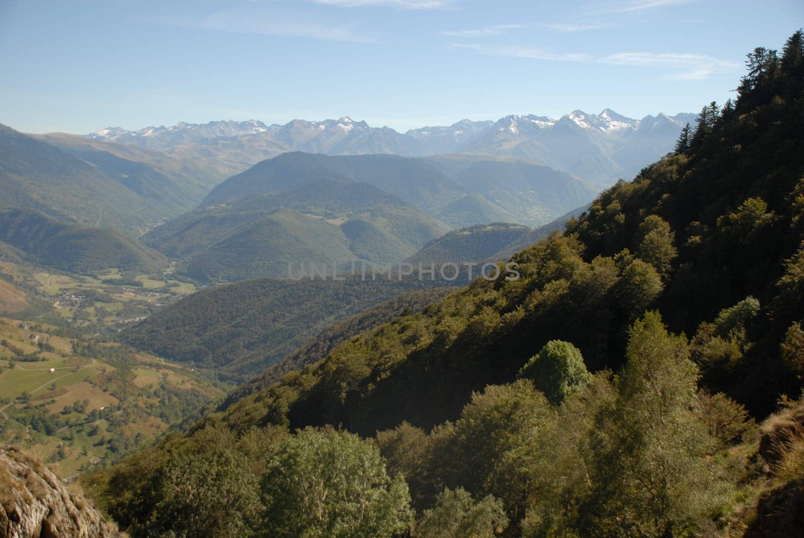 Pyrenees