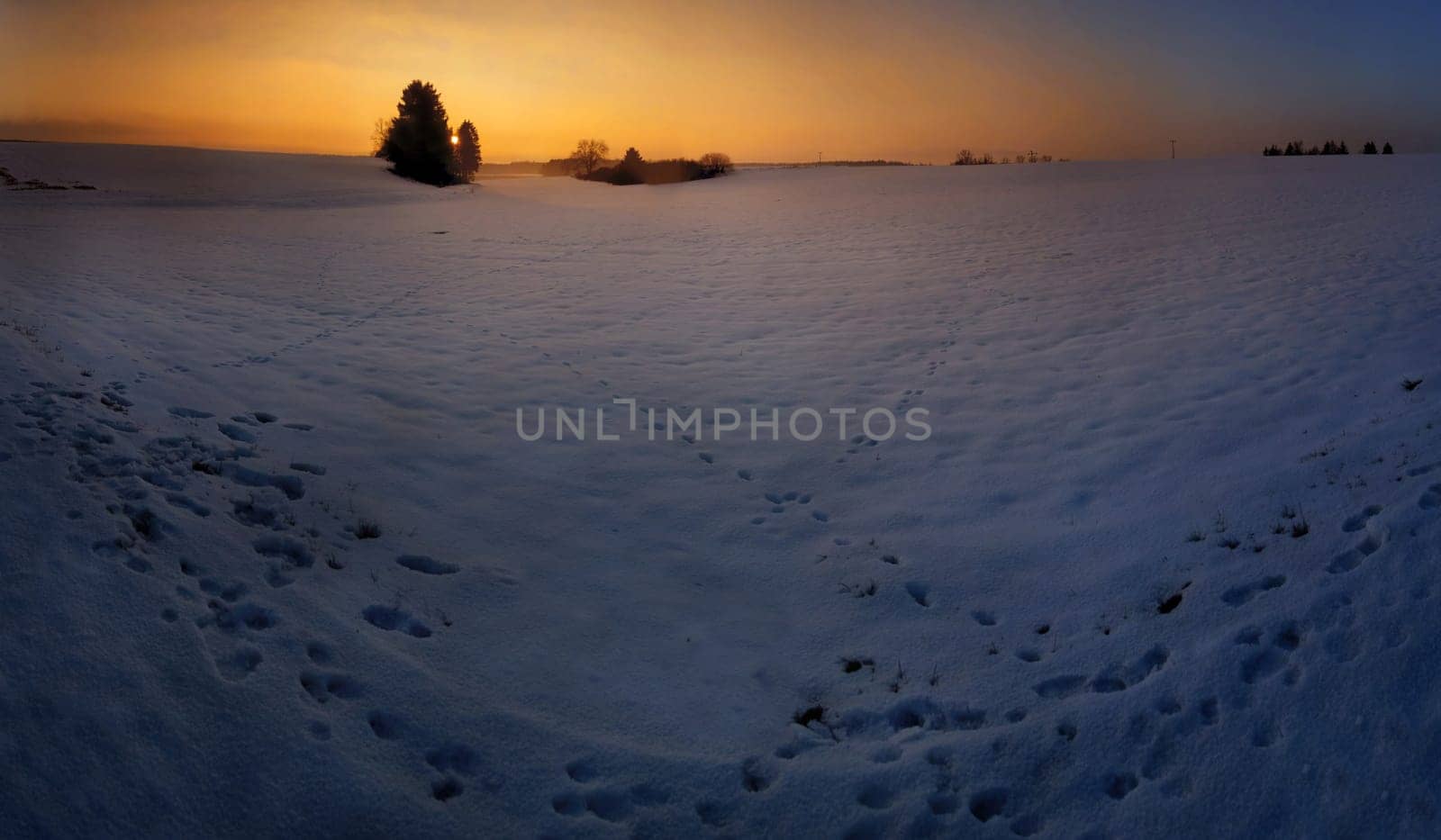 Winter tracks