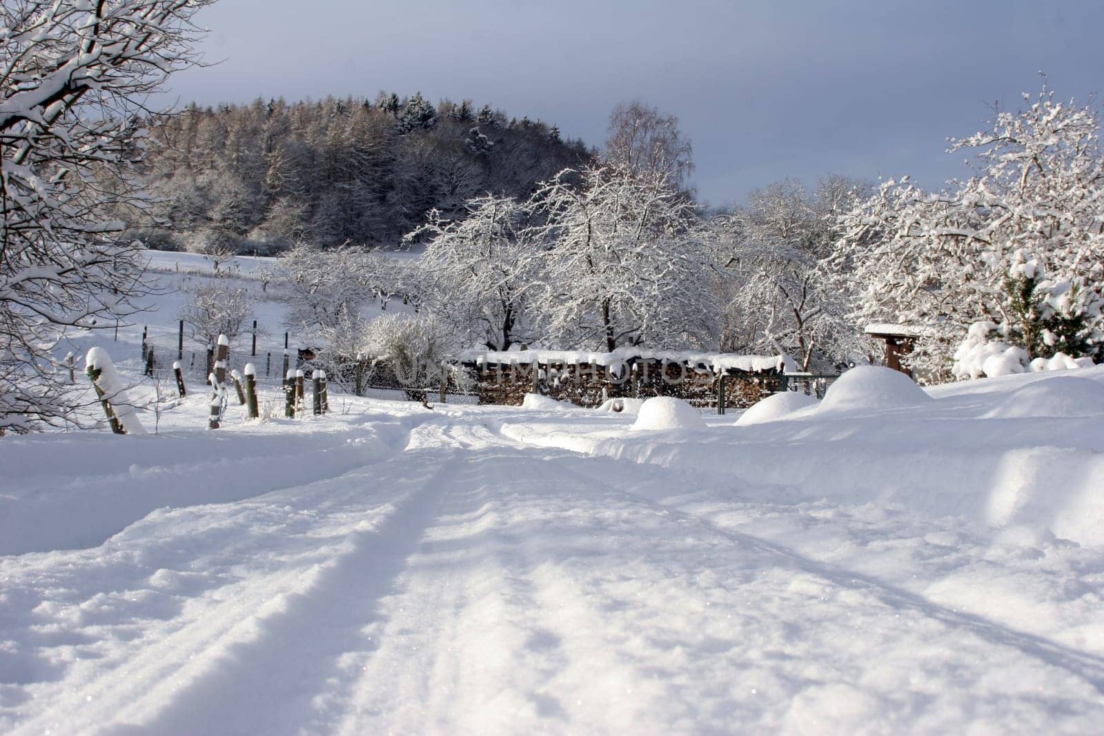 Landscape in winter