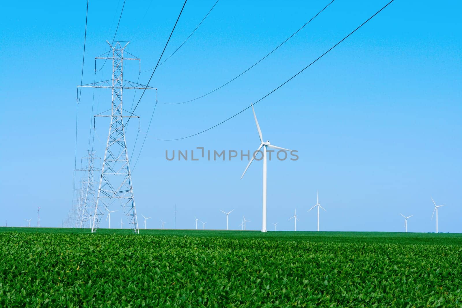 Wind farm