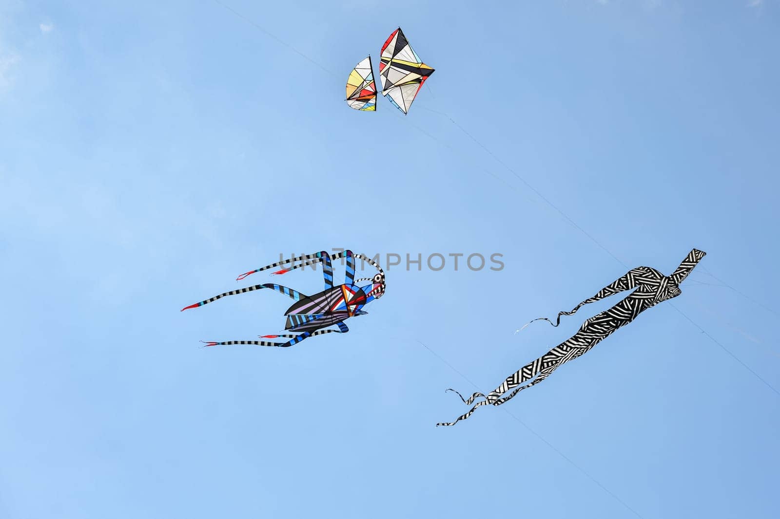 Kite festival. Kites in the sky in the Atlantic ocean