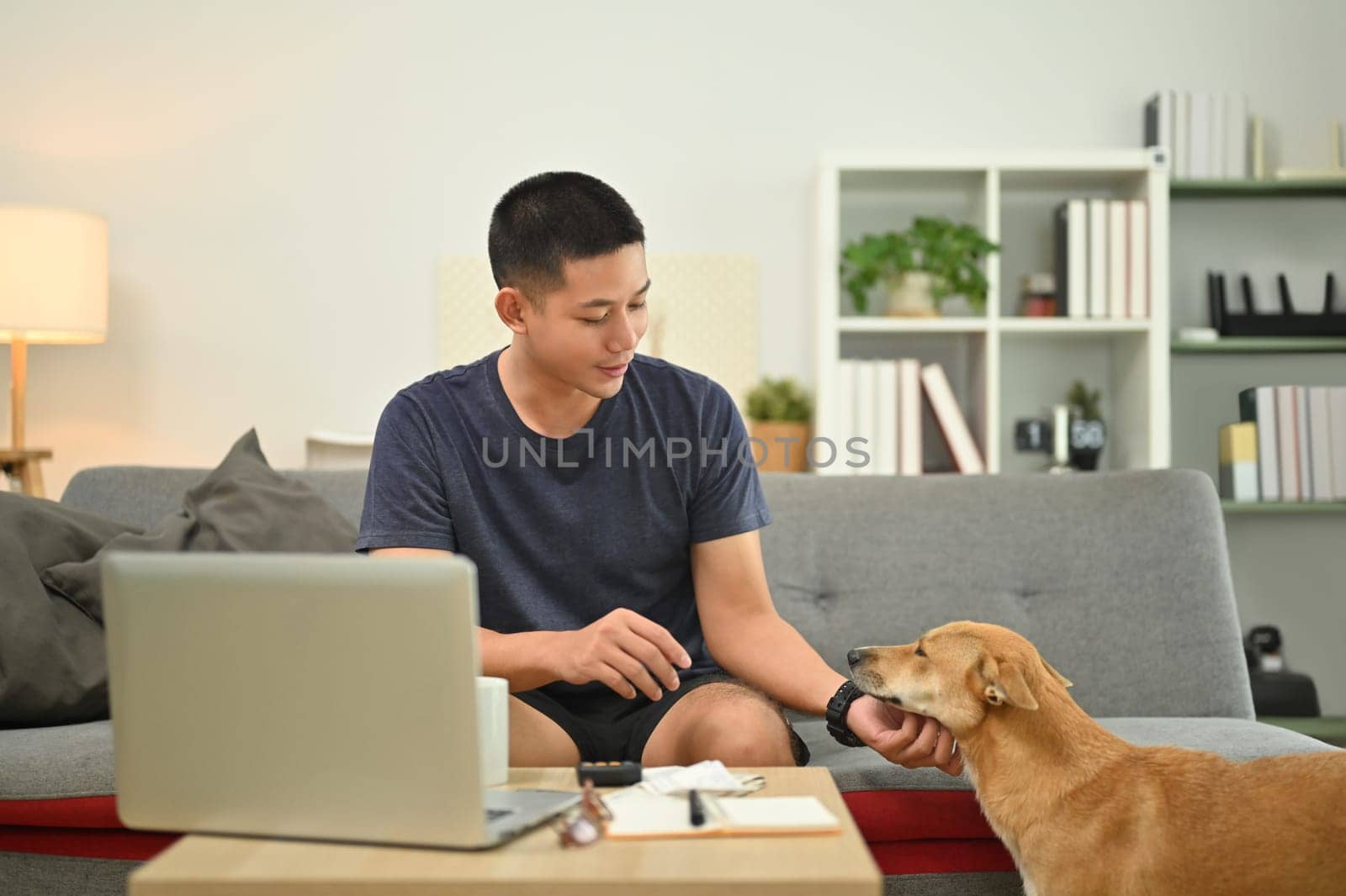 Happy asian man in casual clothes playing with lovely dog while sitting on sofa living room by prathanchorruangsak