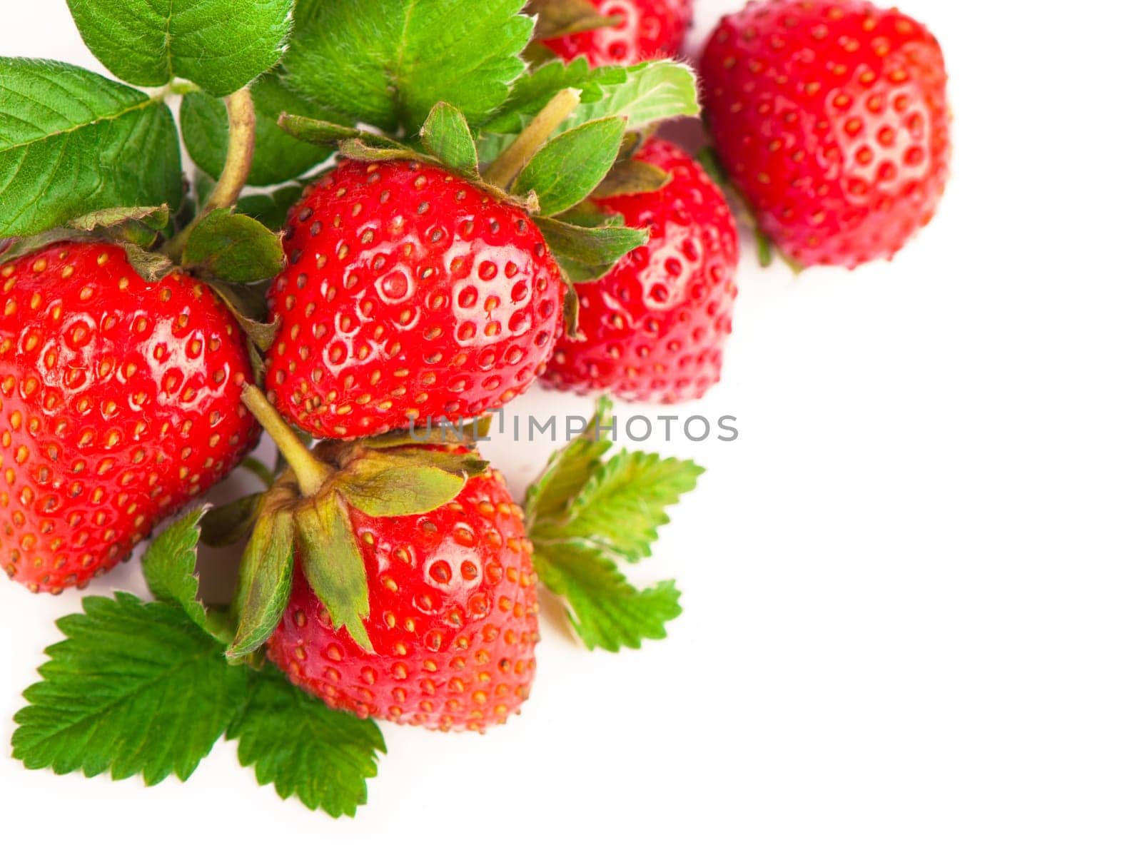 Closeup shot of fresh strawberries. Isolated on white background.