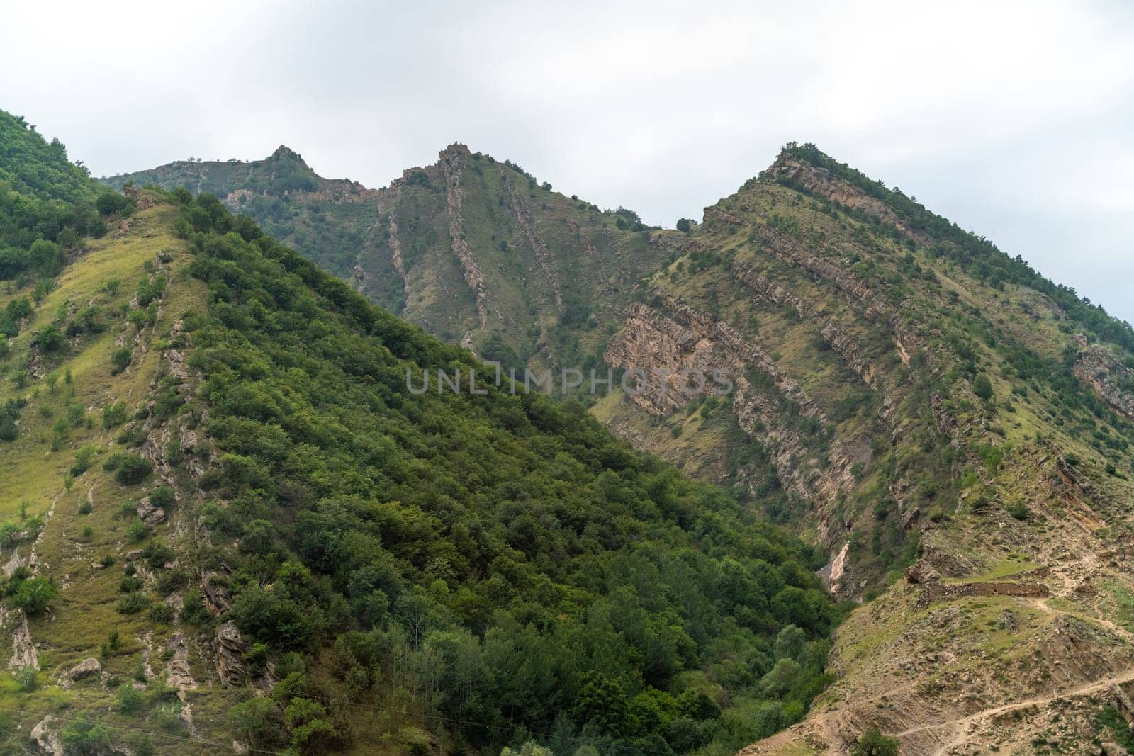 Caucasian mountain. Dagestan. Trees, rocks, mountains, view of the green mountains. Beautiful summer landscape
