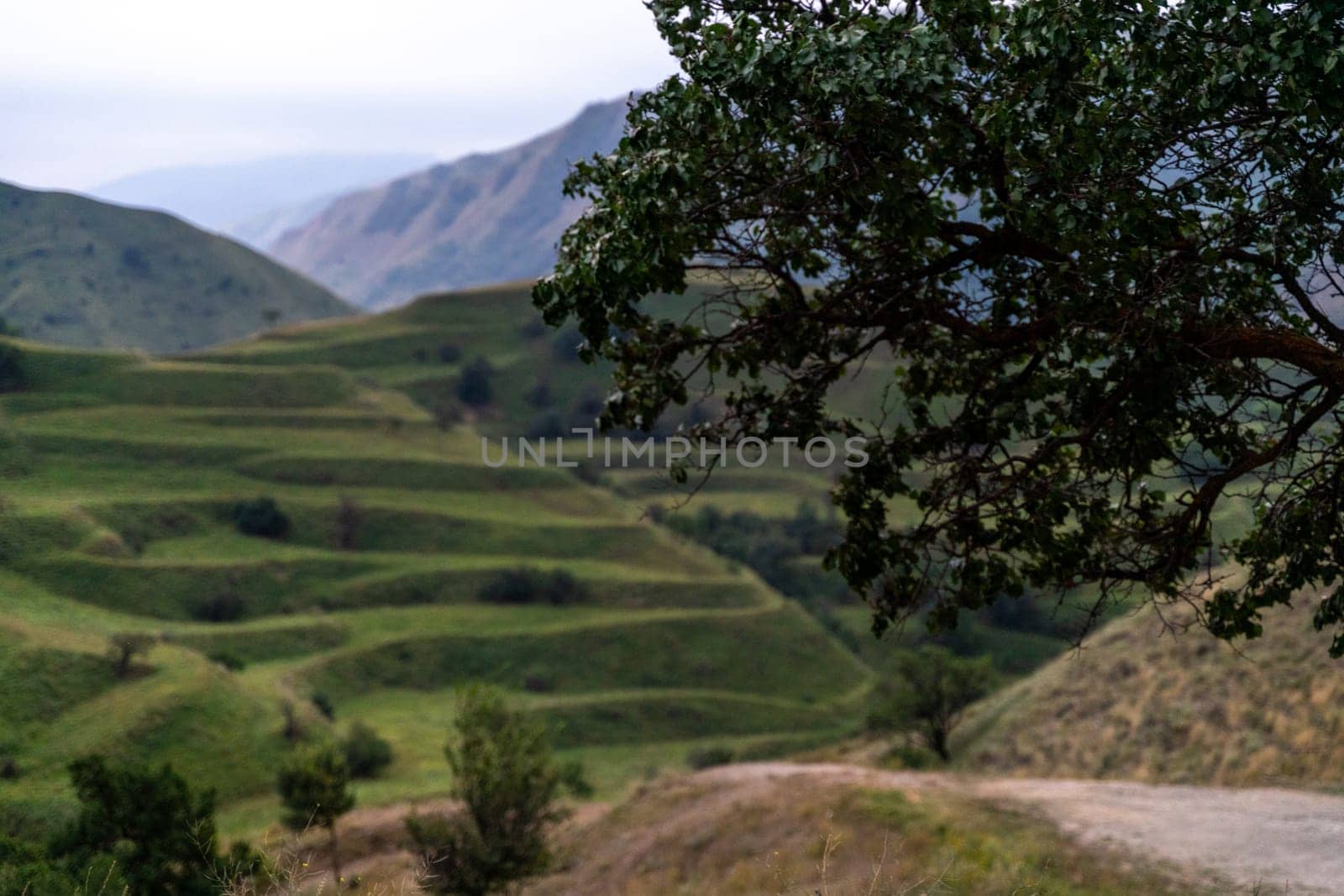 Chokhsky terraces Dagestan. Landscape of mountainous Dagestan with terraced fields and peaks mountains in the distance