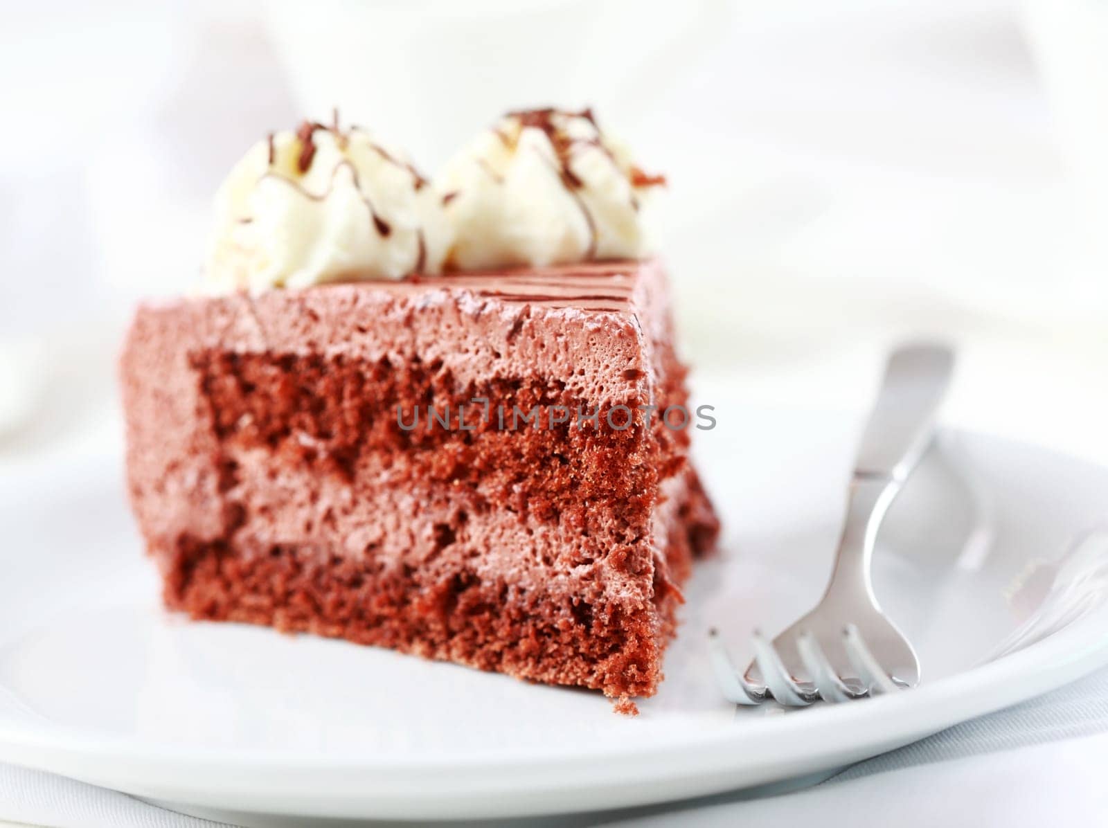 Delicious chocolate cake