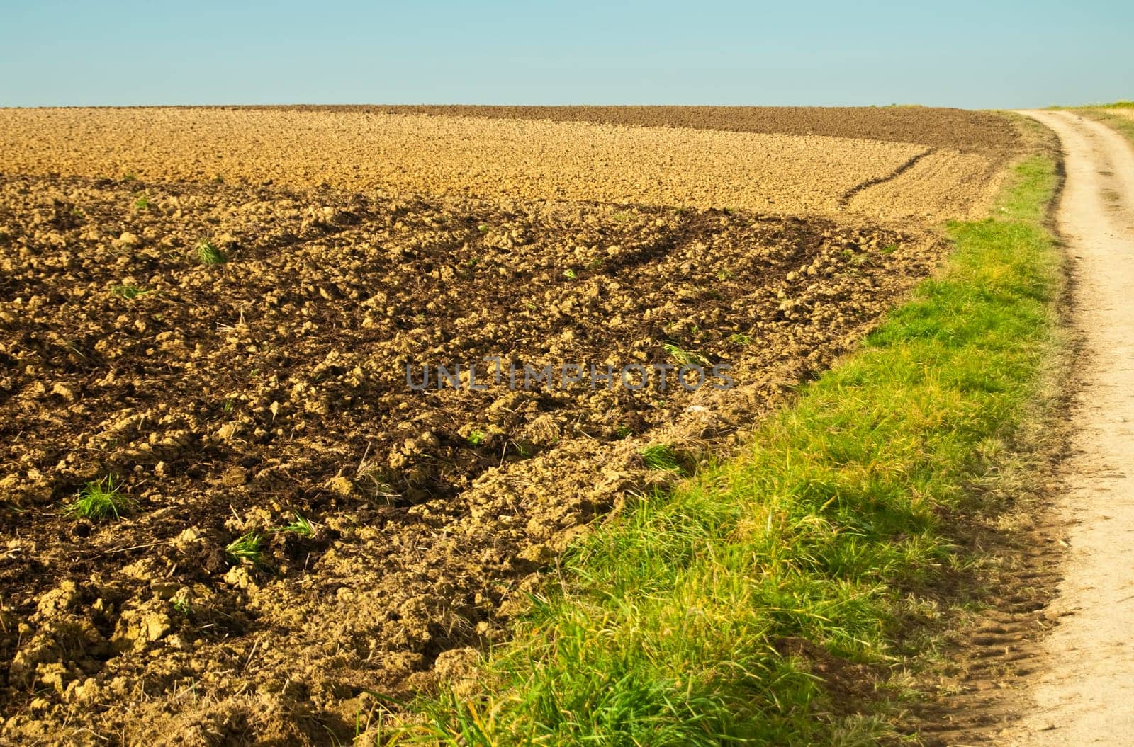 Field