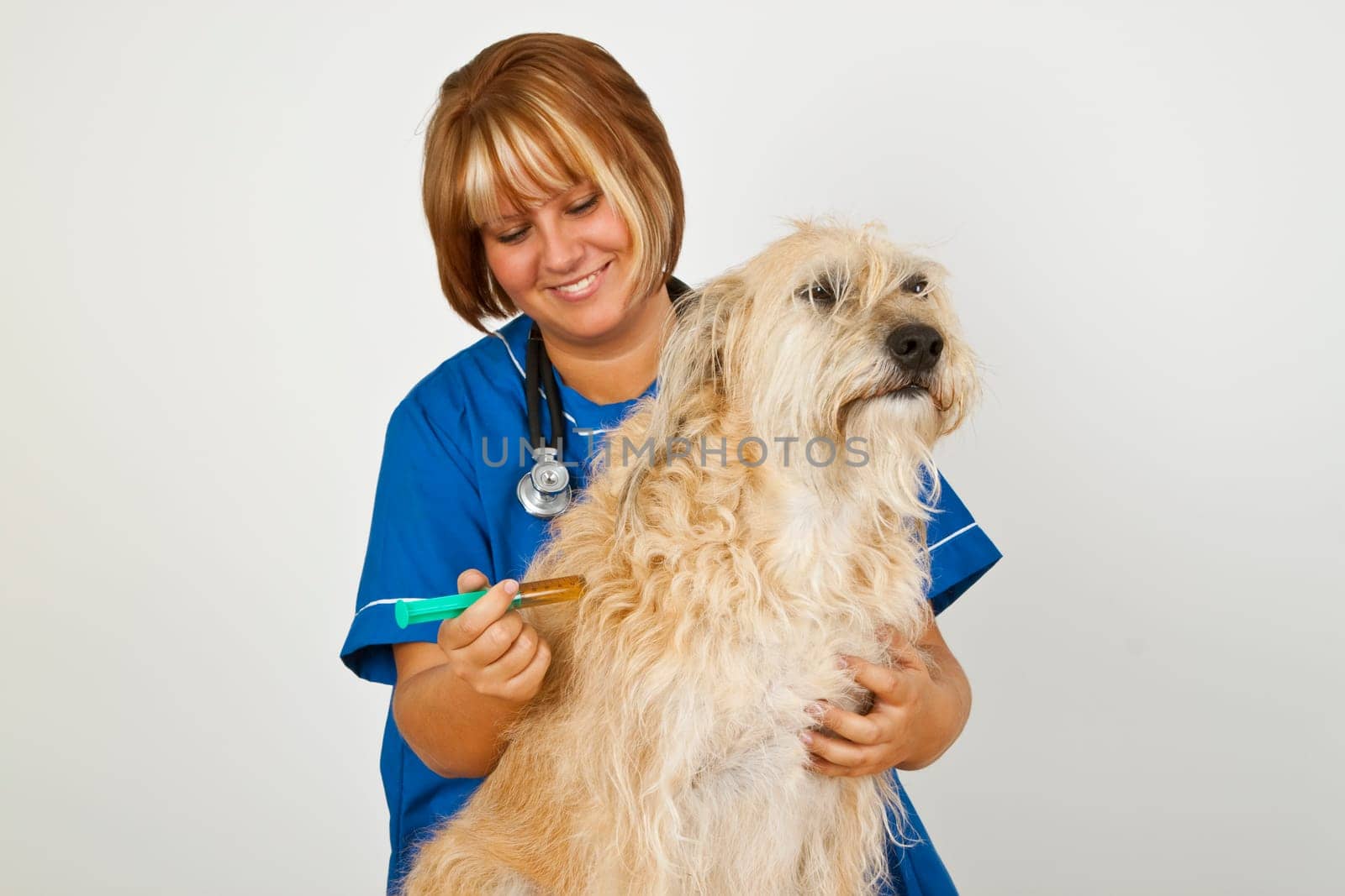 Veterinarian