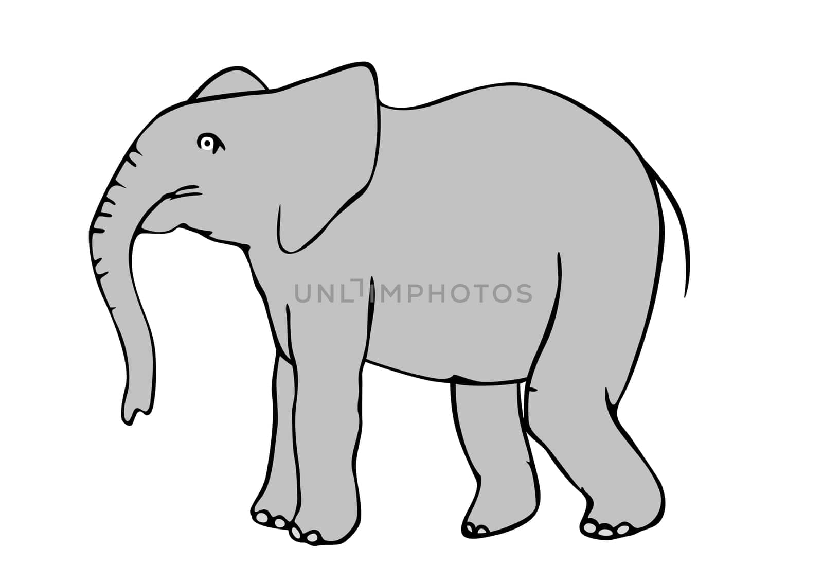 elefant
