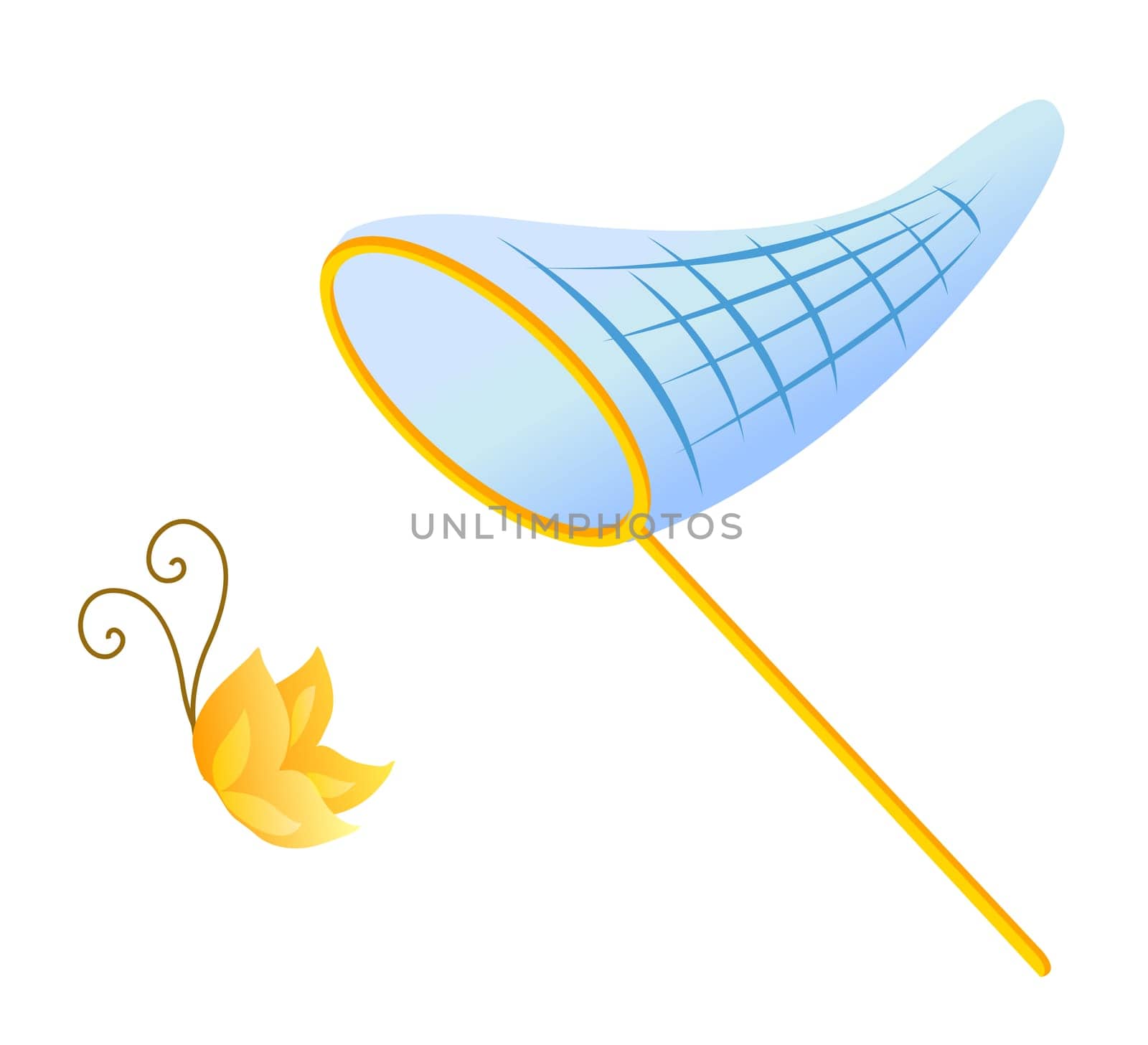 Butterfly net