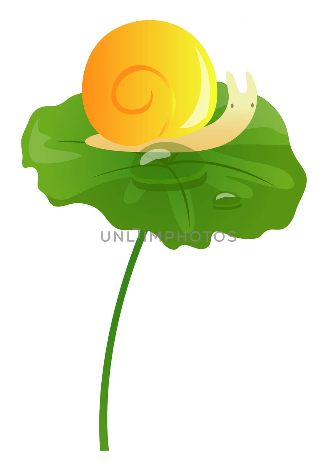 a snail on a lotus leaf