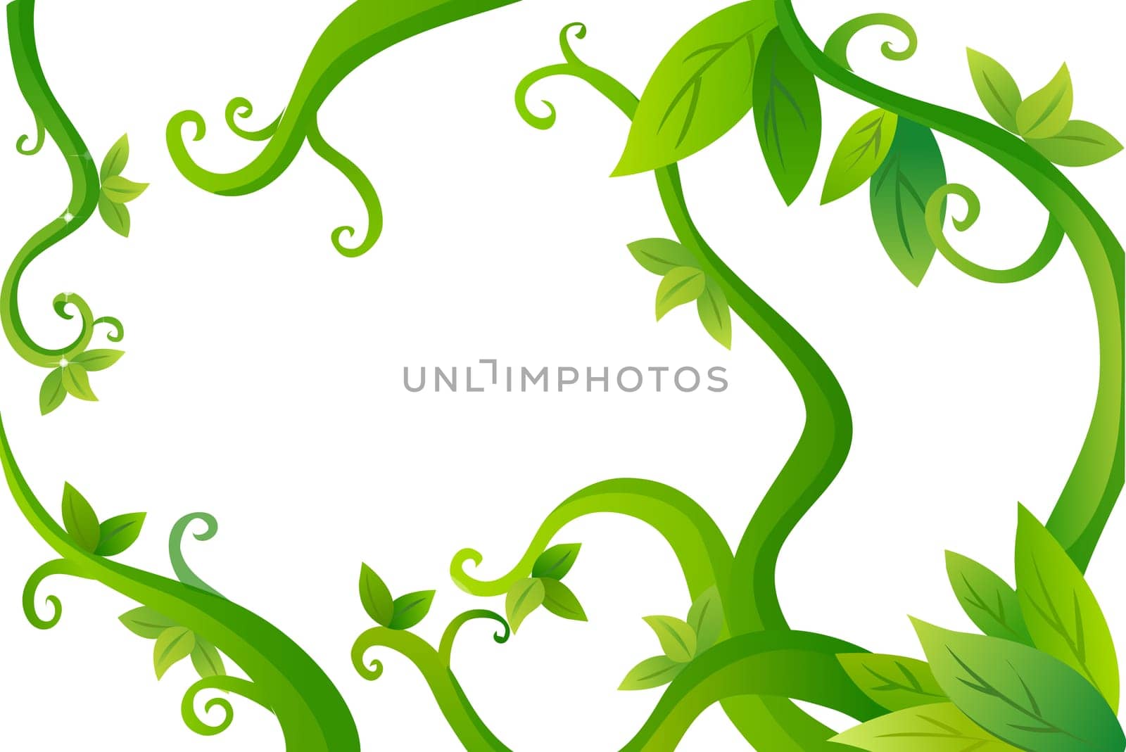 vines and leaves
