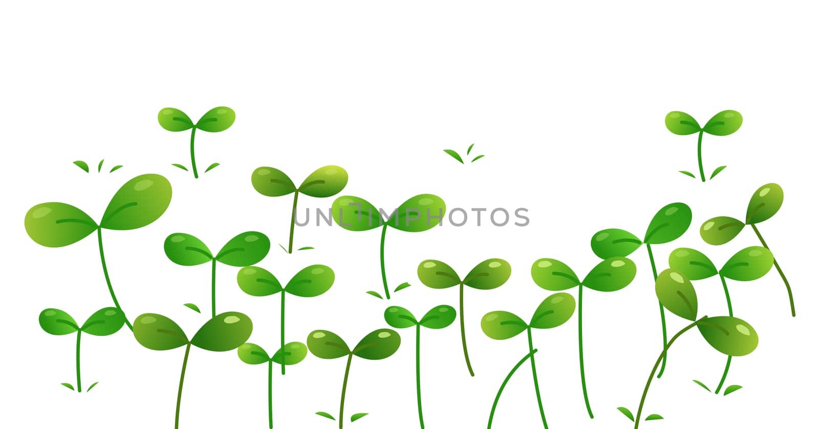 seeding