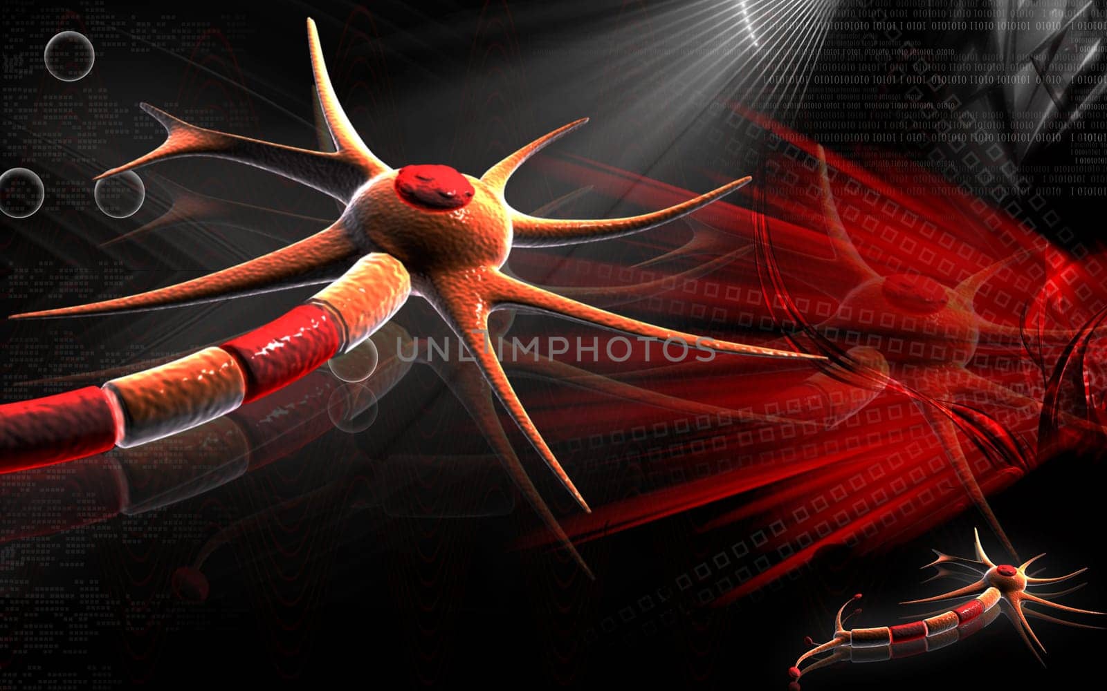 Neuron