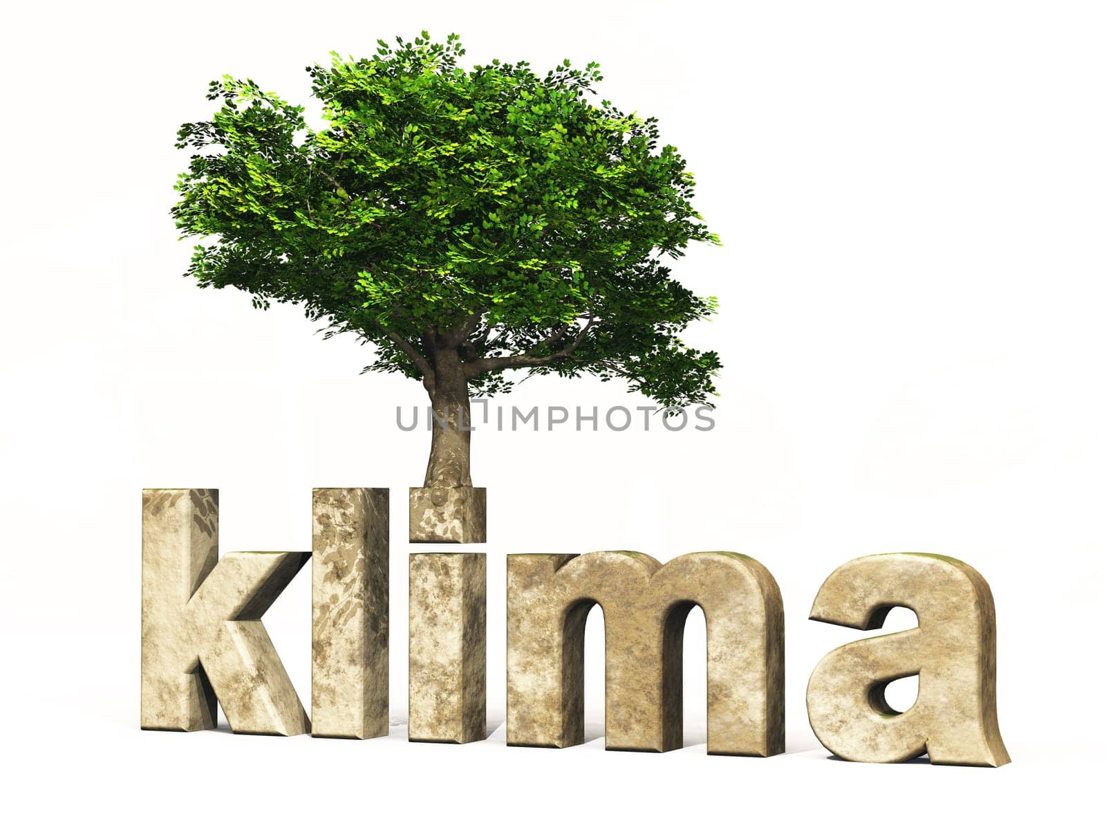 3D climate font with tree