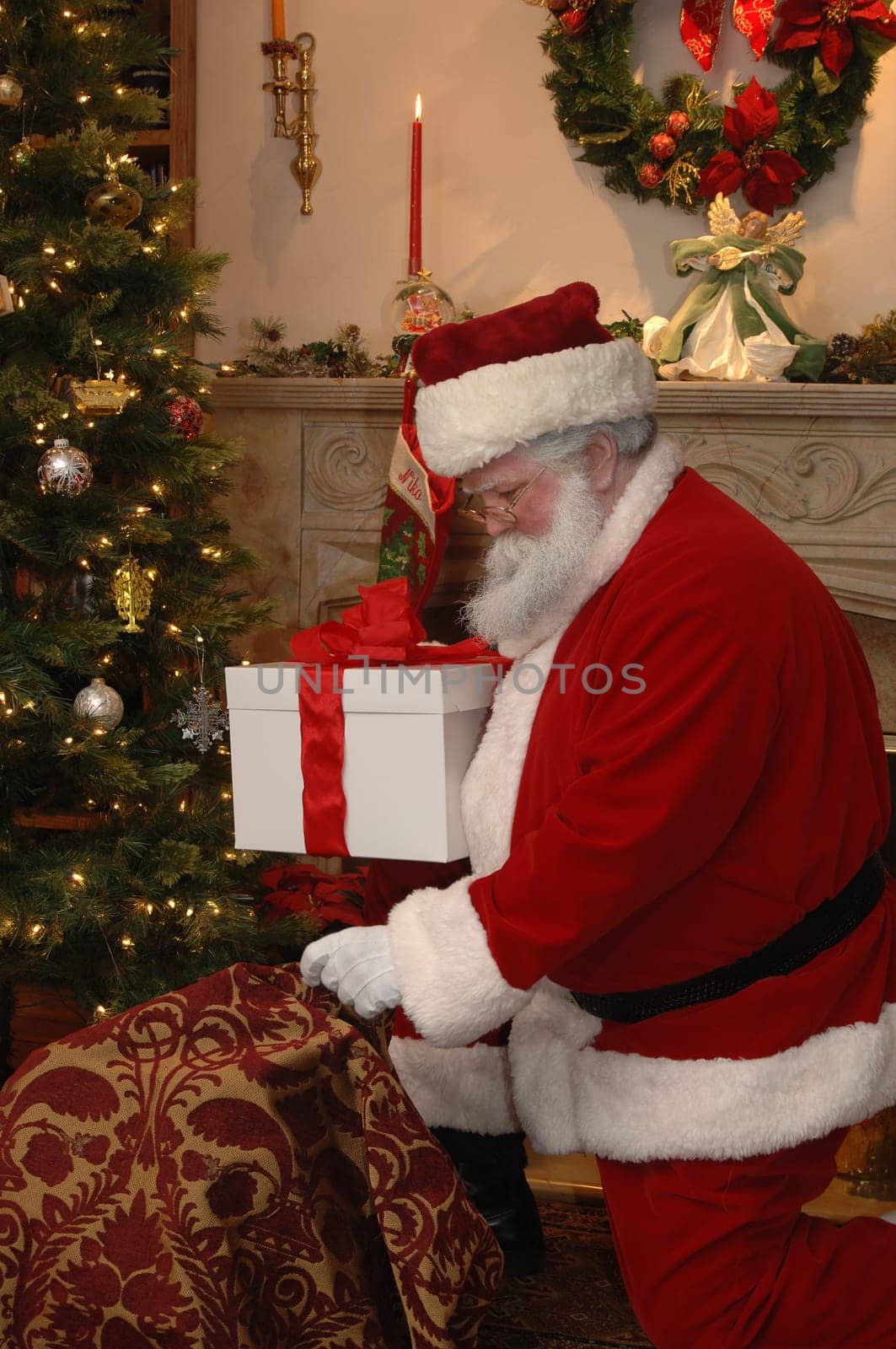 Santa and Christmas Tree
