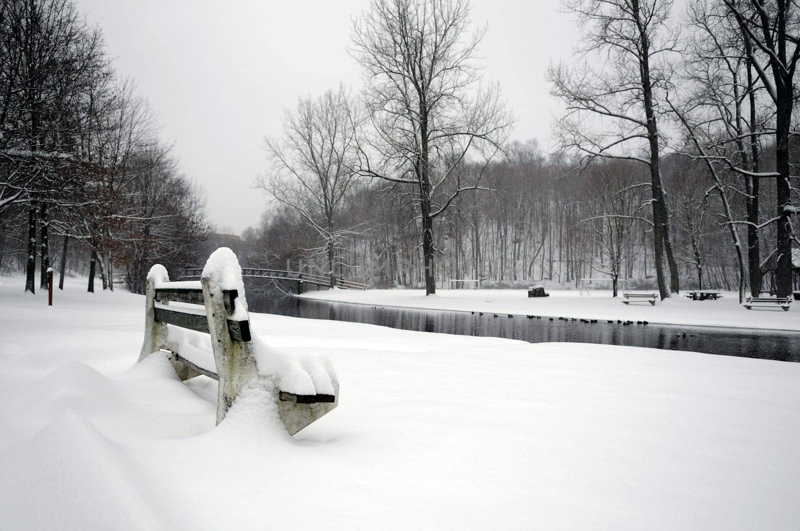 Winter