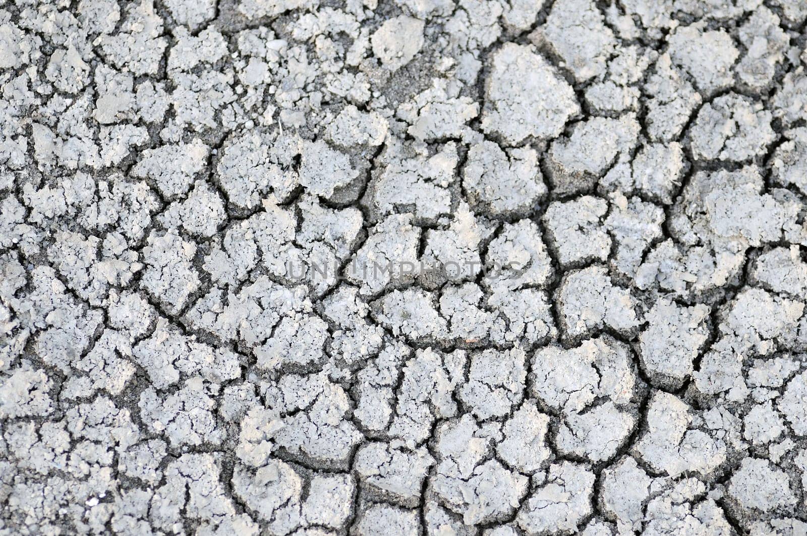 Cracked Ground