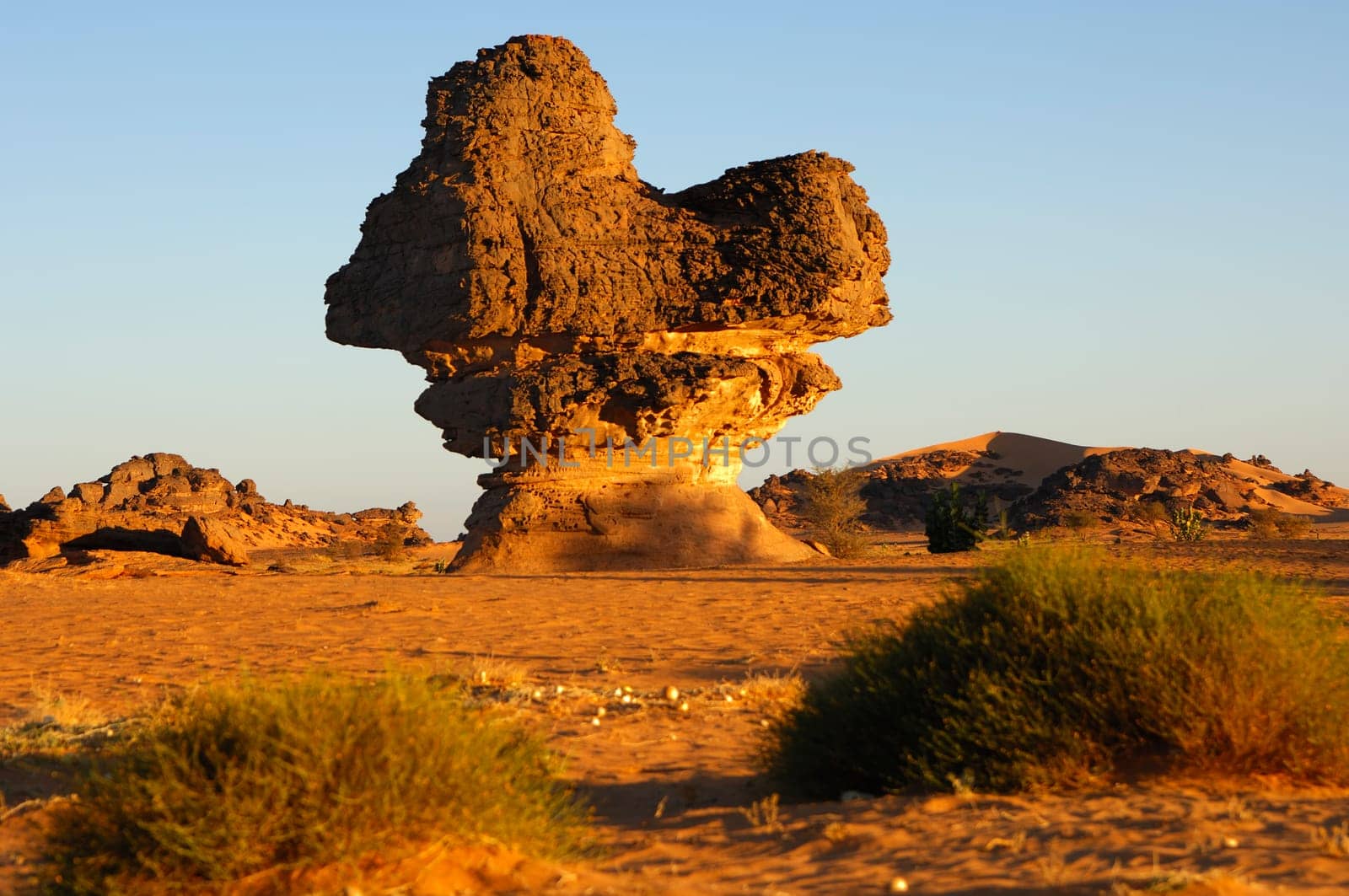 Rock mushroom in the Akkakus Mountains,Libya
