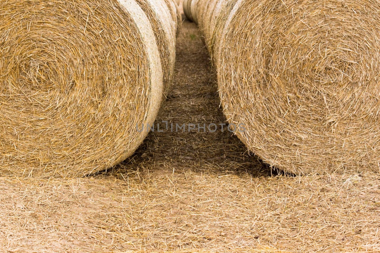 Straw bales in series