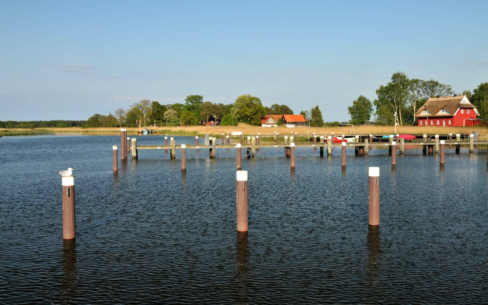 Bodden am Darß...