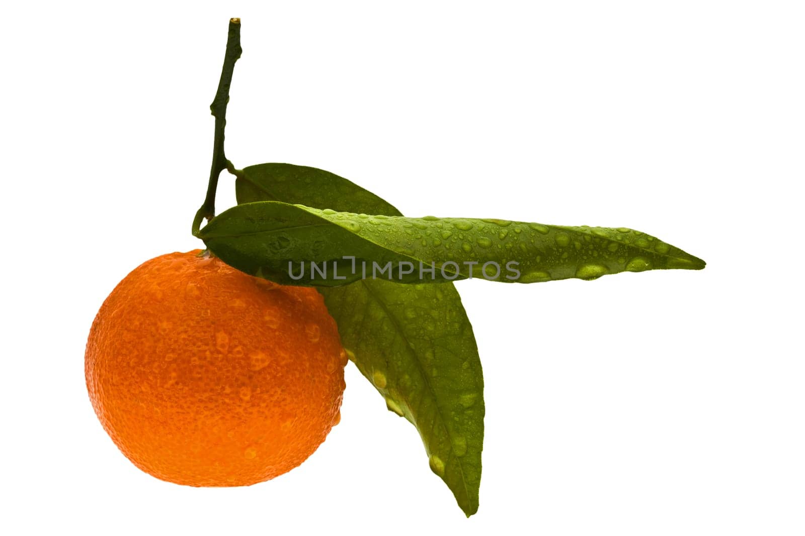 Clementine............