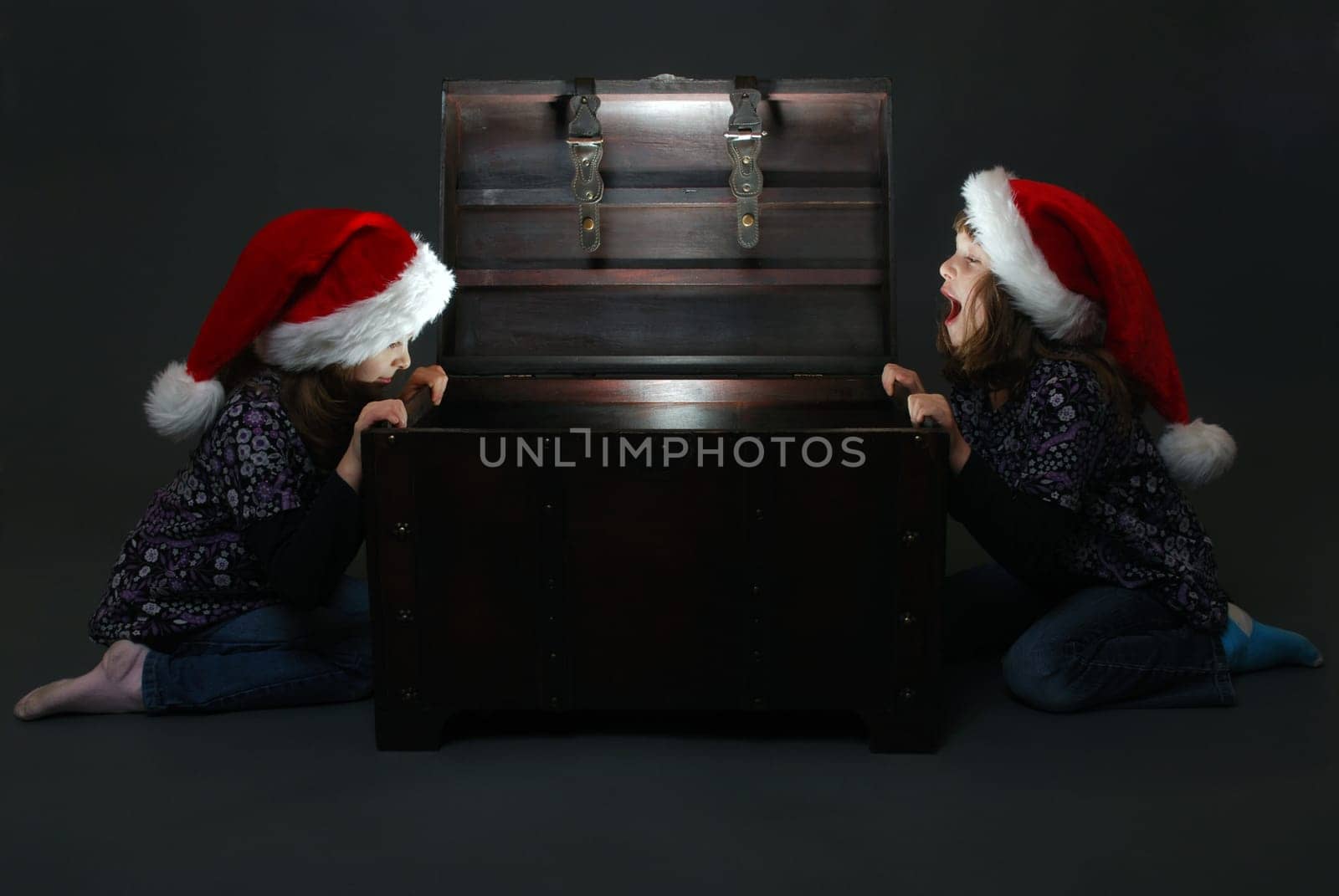 Christmas portrait