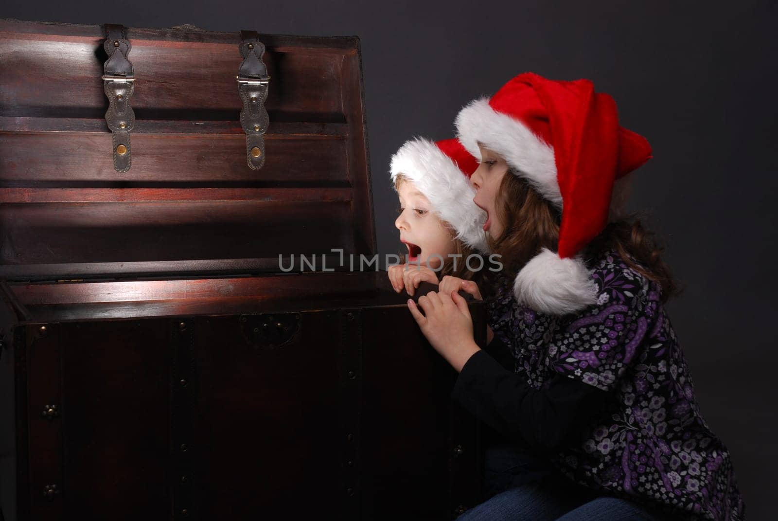 Christmas portrait