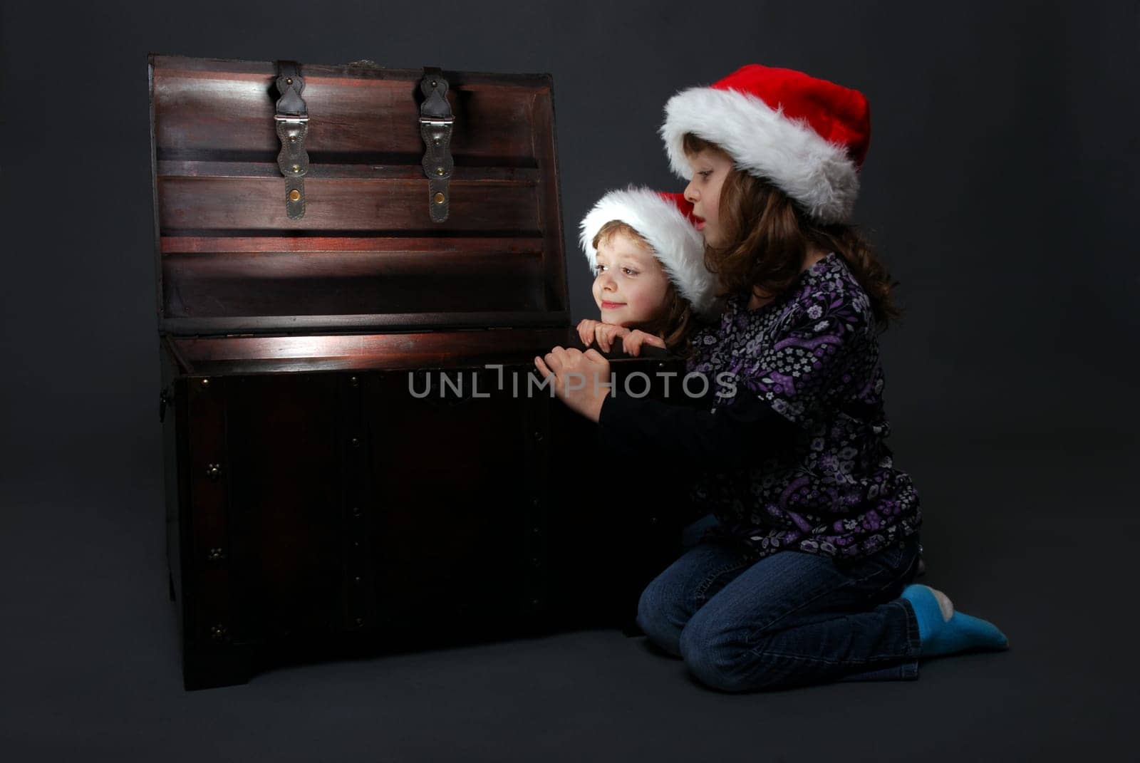 Christmas portrait