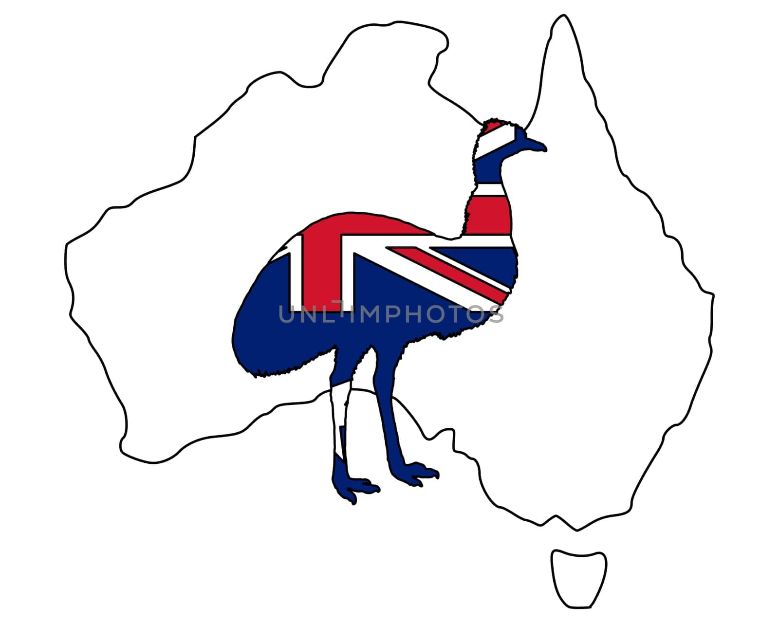 Australian Emu