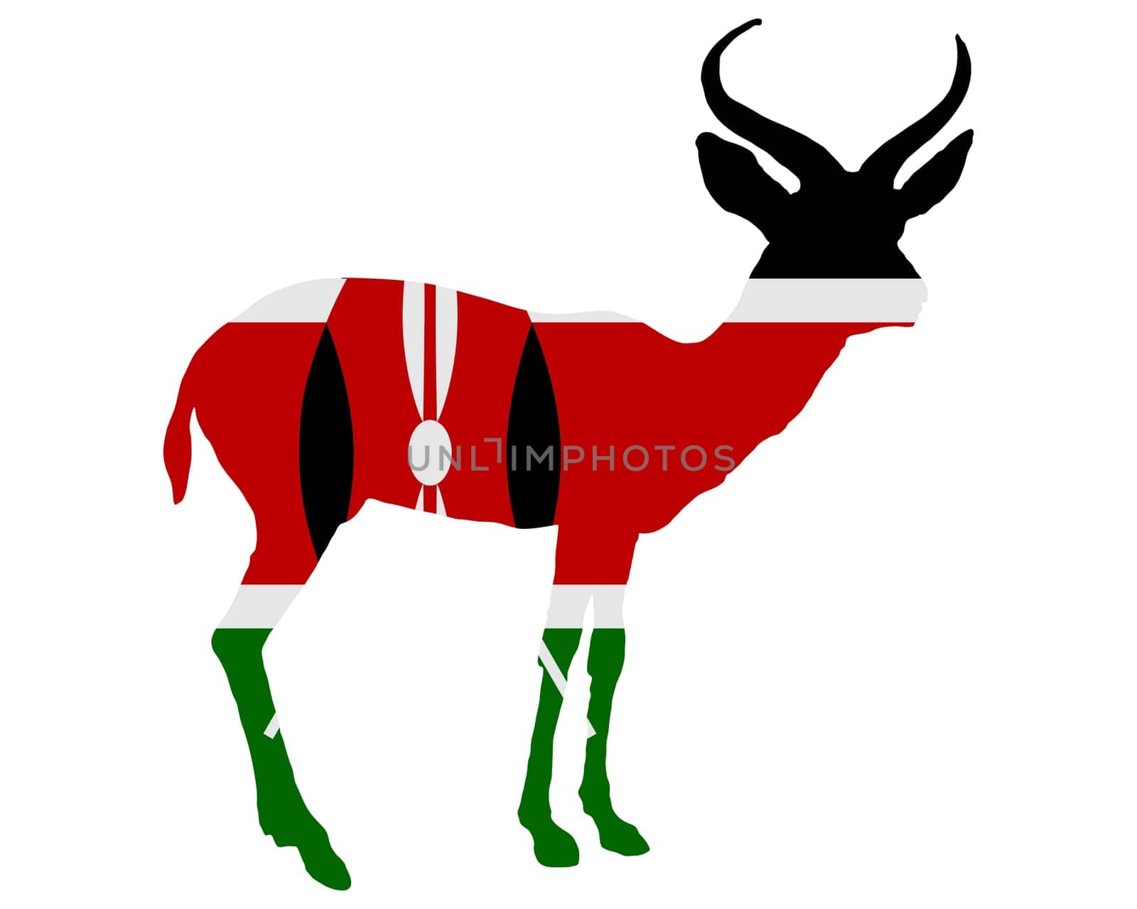 Kenya Antelope