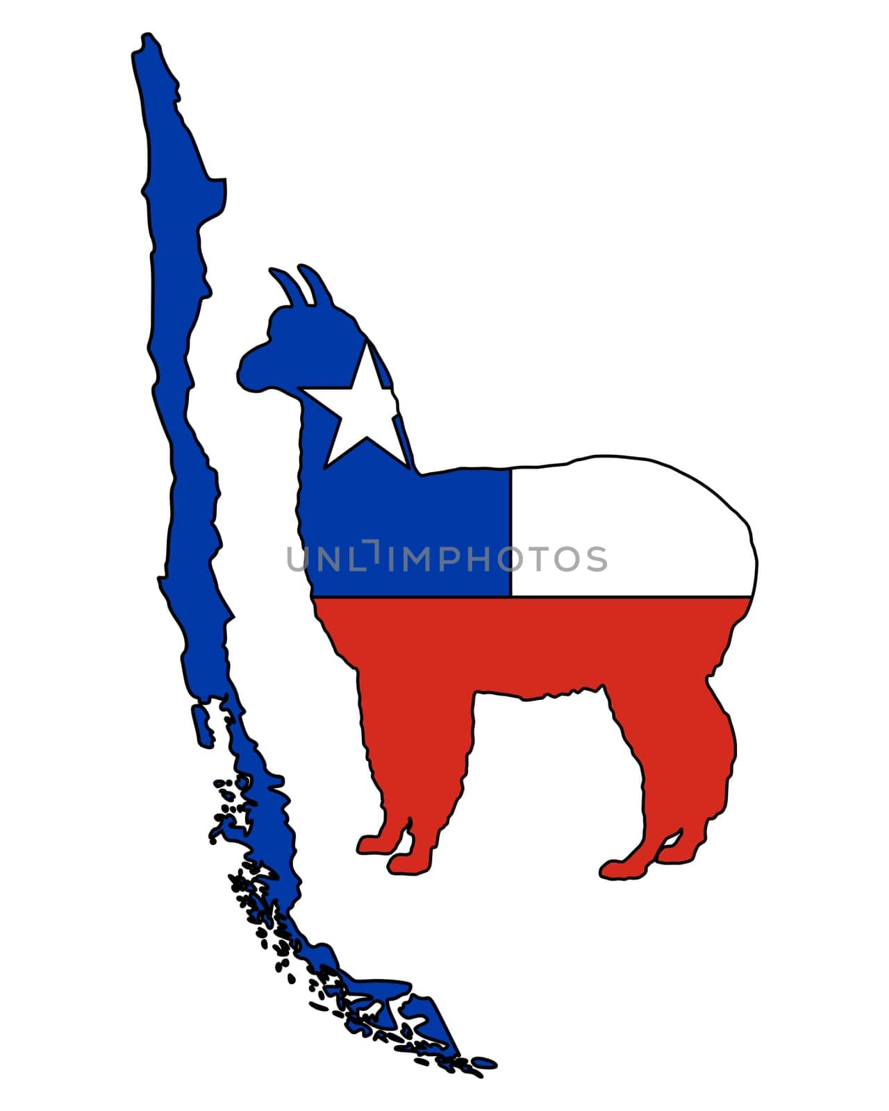 Chilean Alpaca
