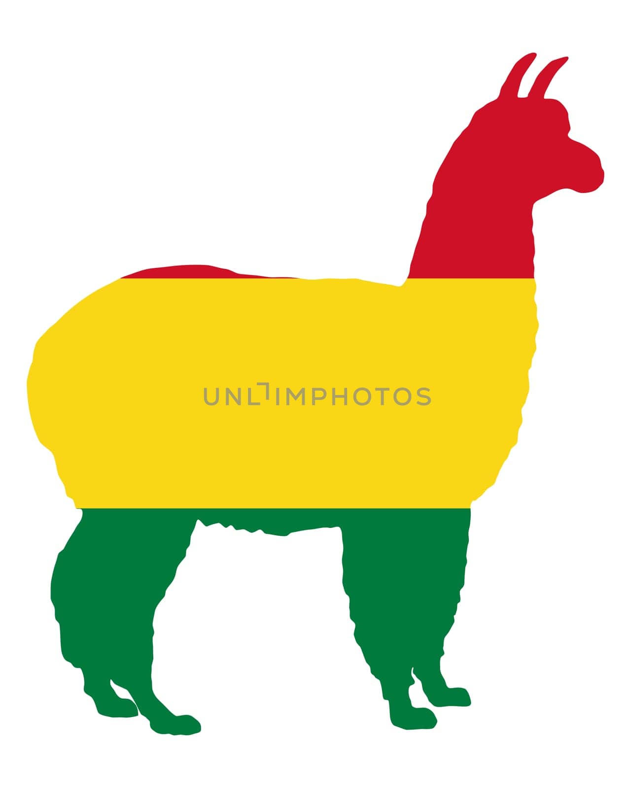 Bolivian Alpaca