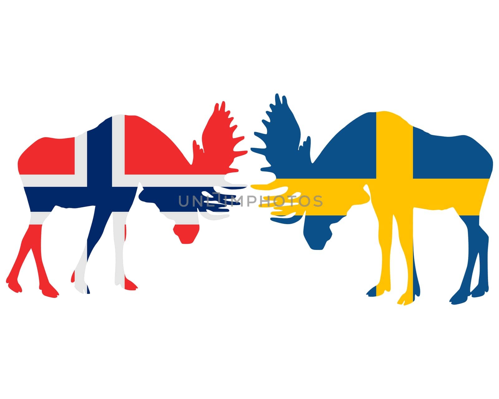 Fighting moose
