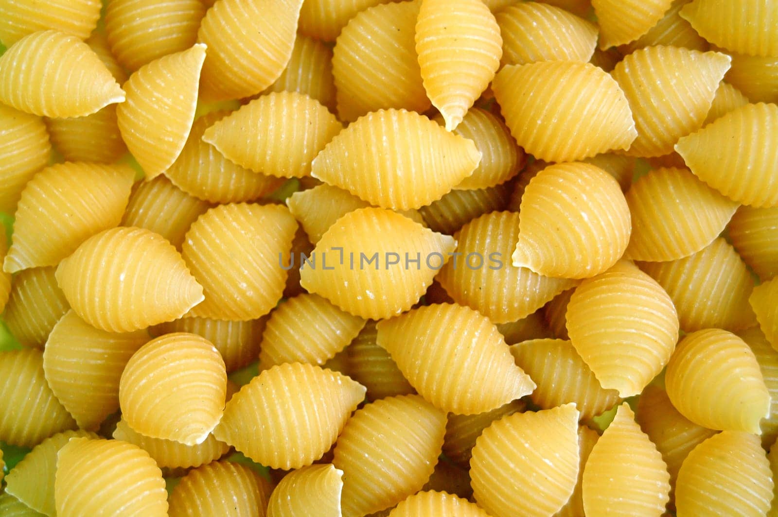 shells pasta